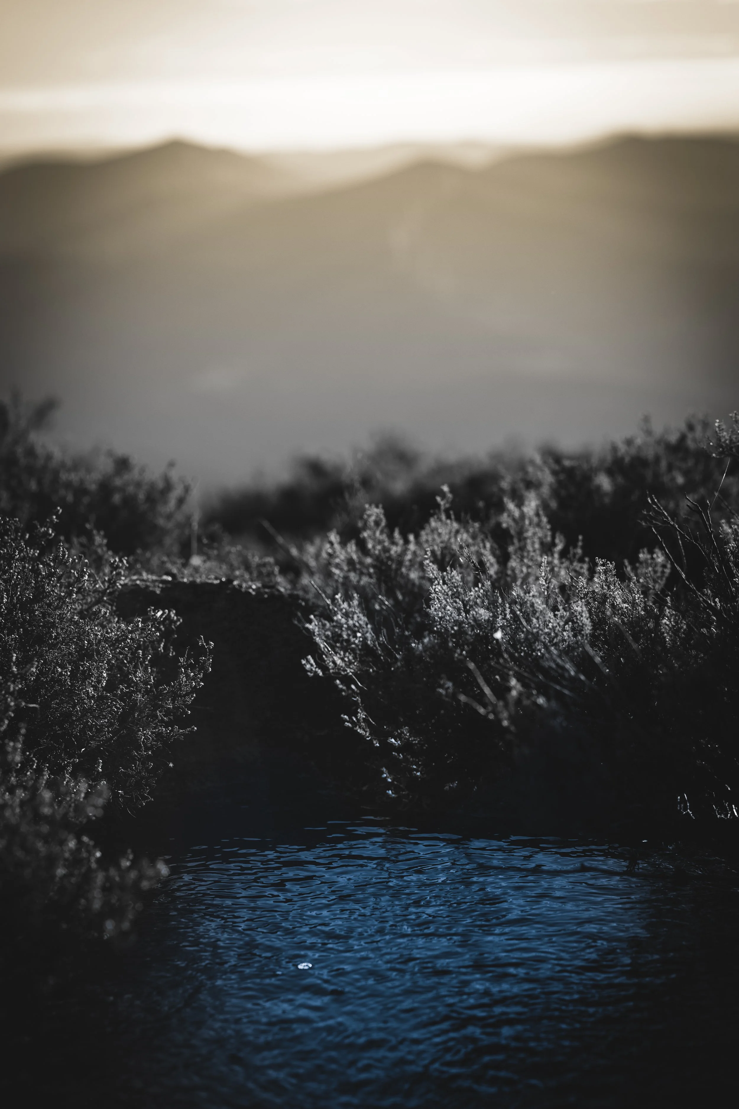 Problemen heb je nodig.