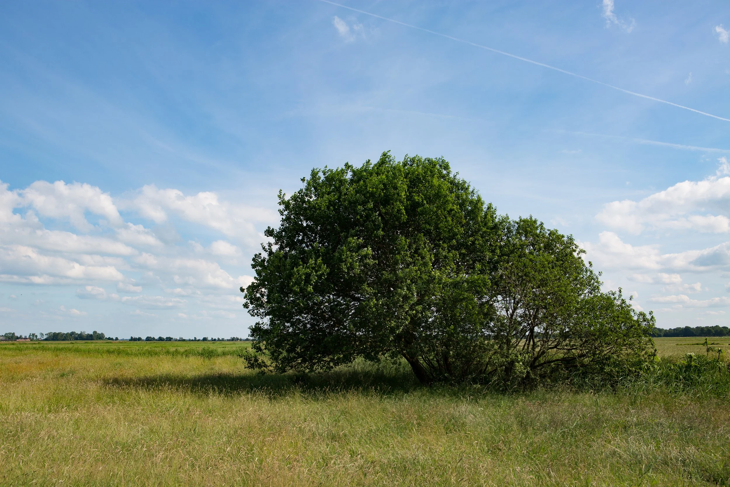 Back in the polder