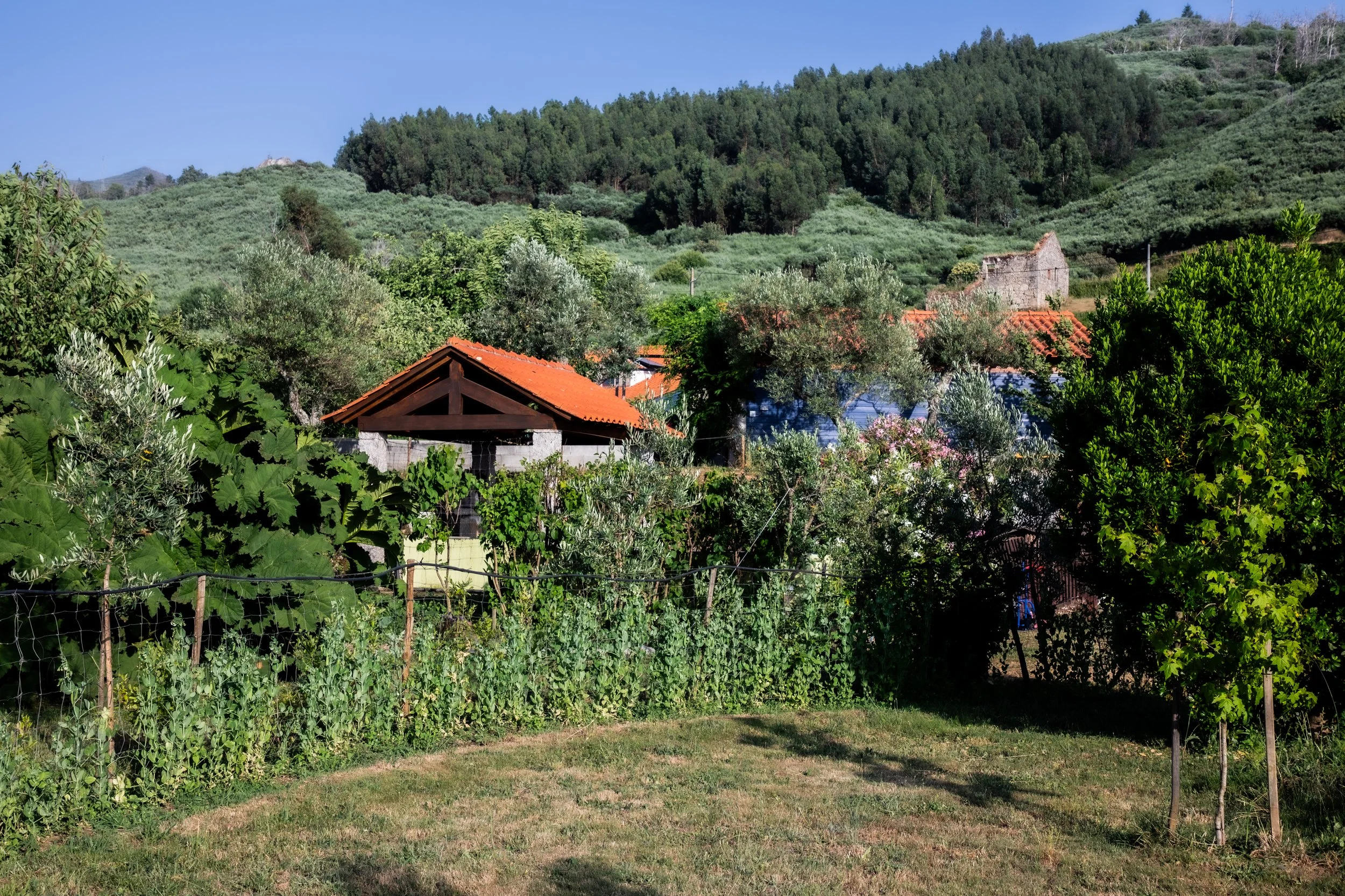 Groene tuin met een hek en een touw voor boerderij, omgeven door groene bomen en struiken, met een heuvelachtig landschap en een blauwe lucht op de achtergrond.
