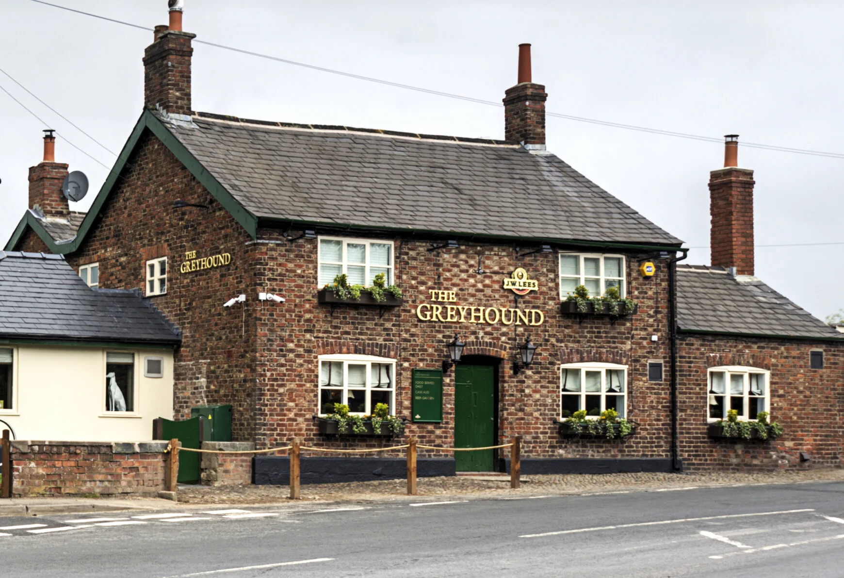 Greyhound crosses the finishing line