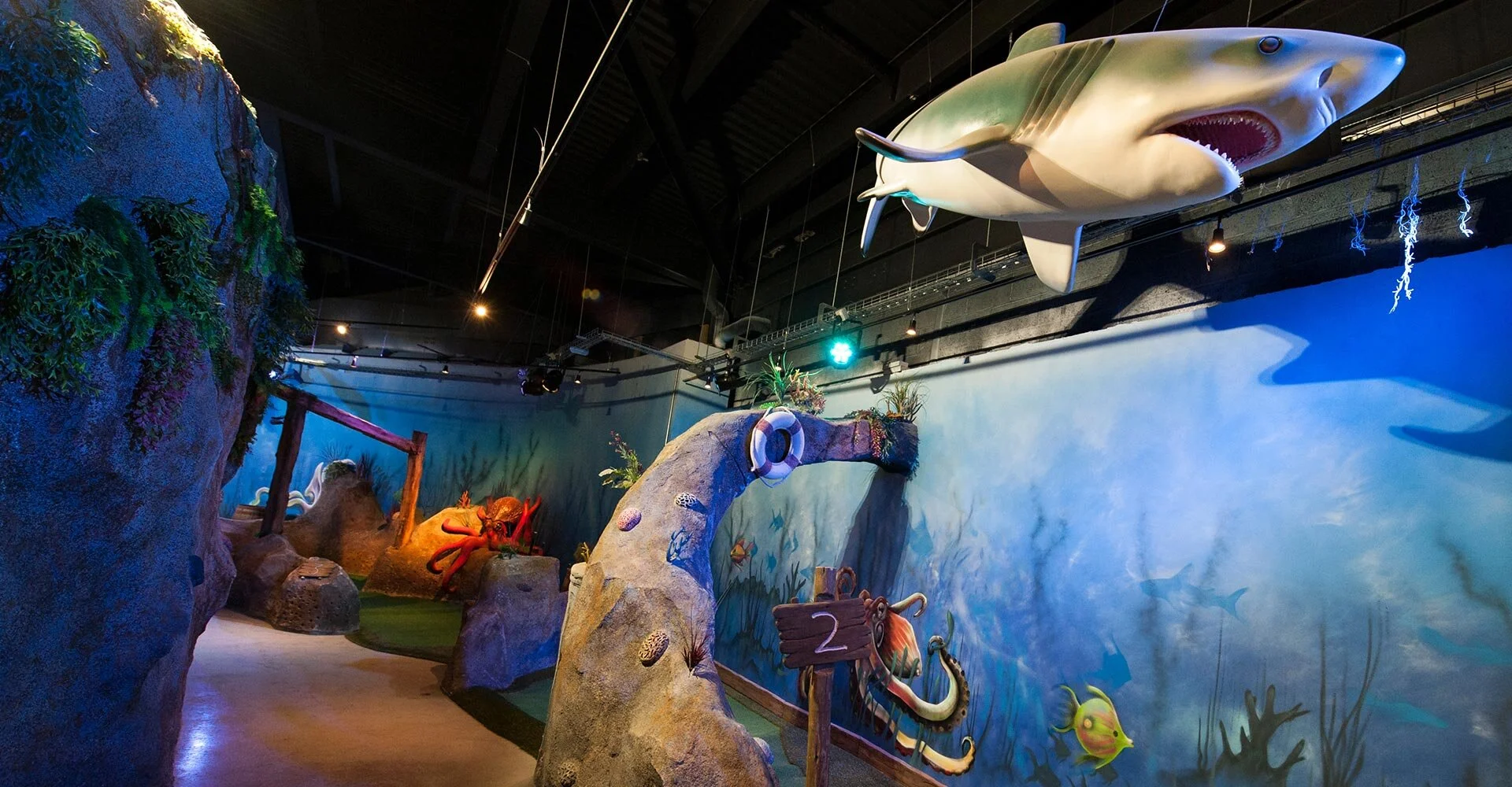 Medlock tee-off in Newcastle