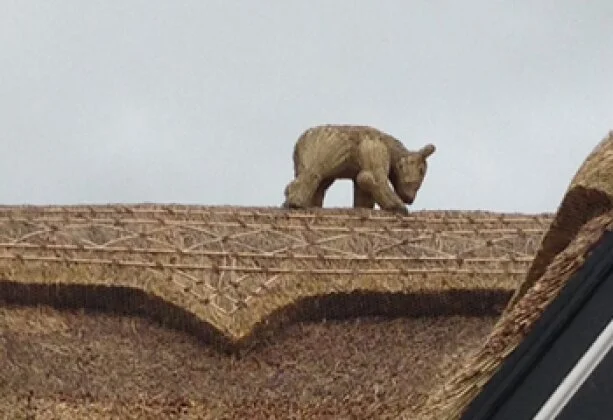 Project Complete - Ye Olde Black Bear Inn, Sandbach.