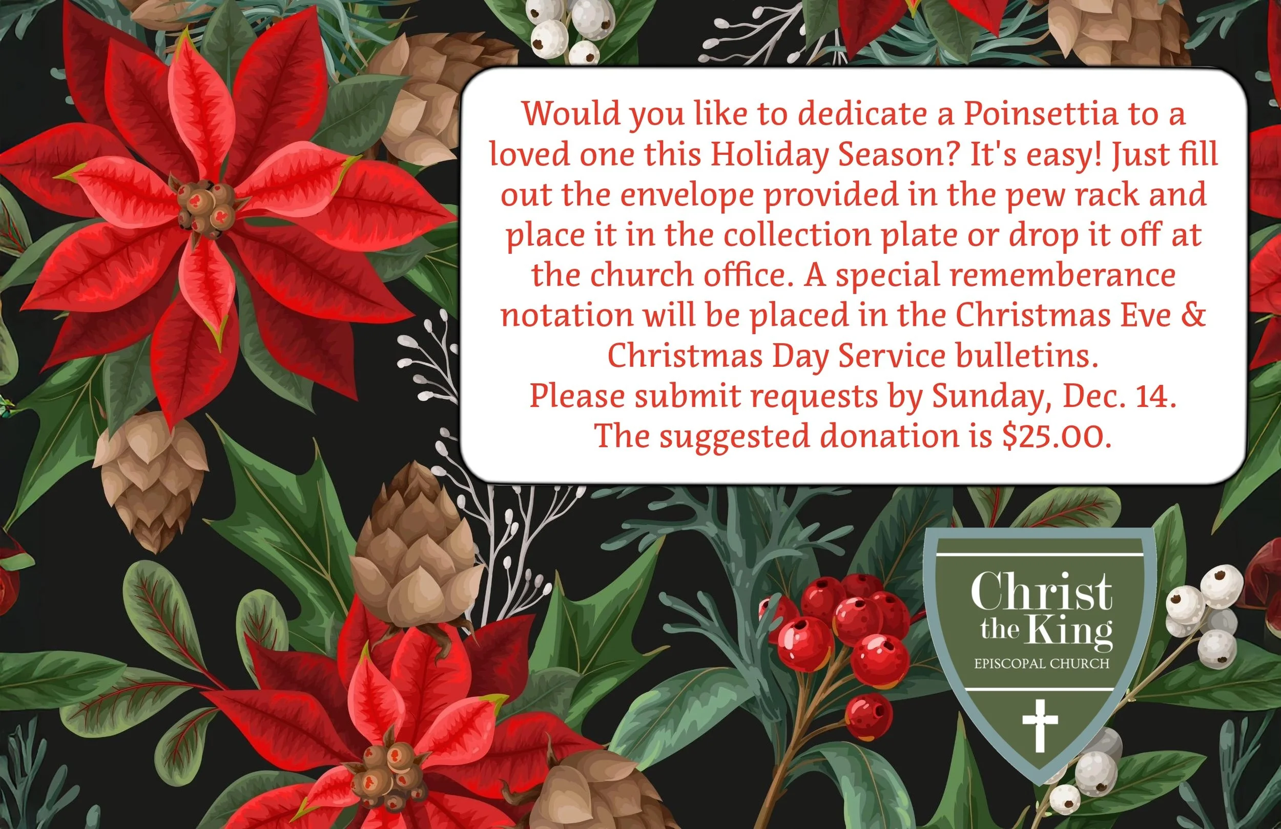 Poinsettia 2025.jpeg