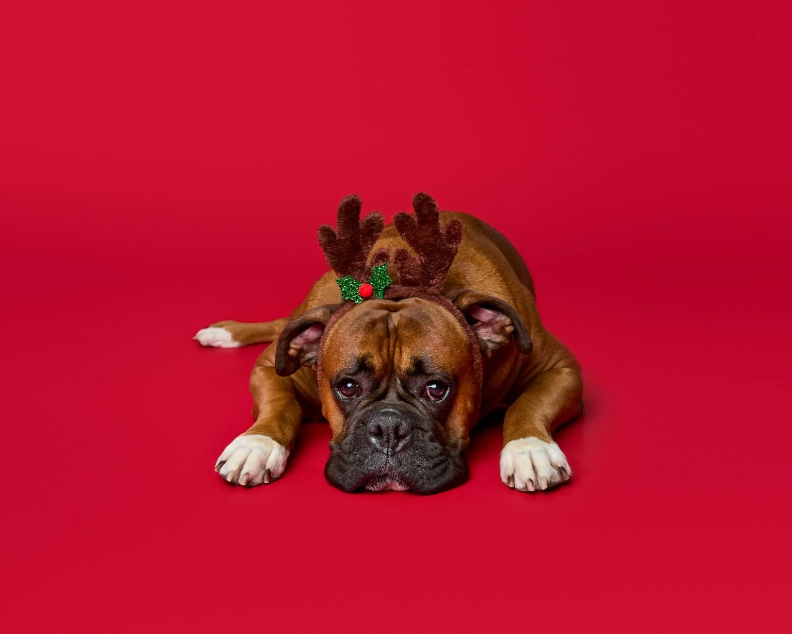 George, Boxer