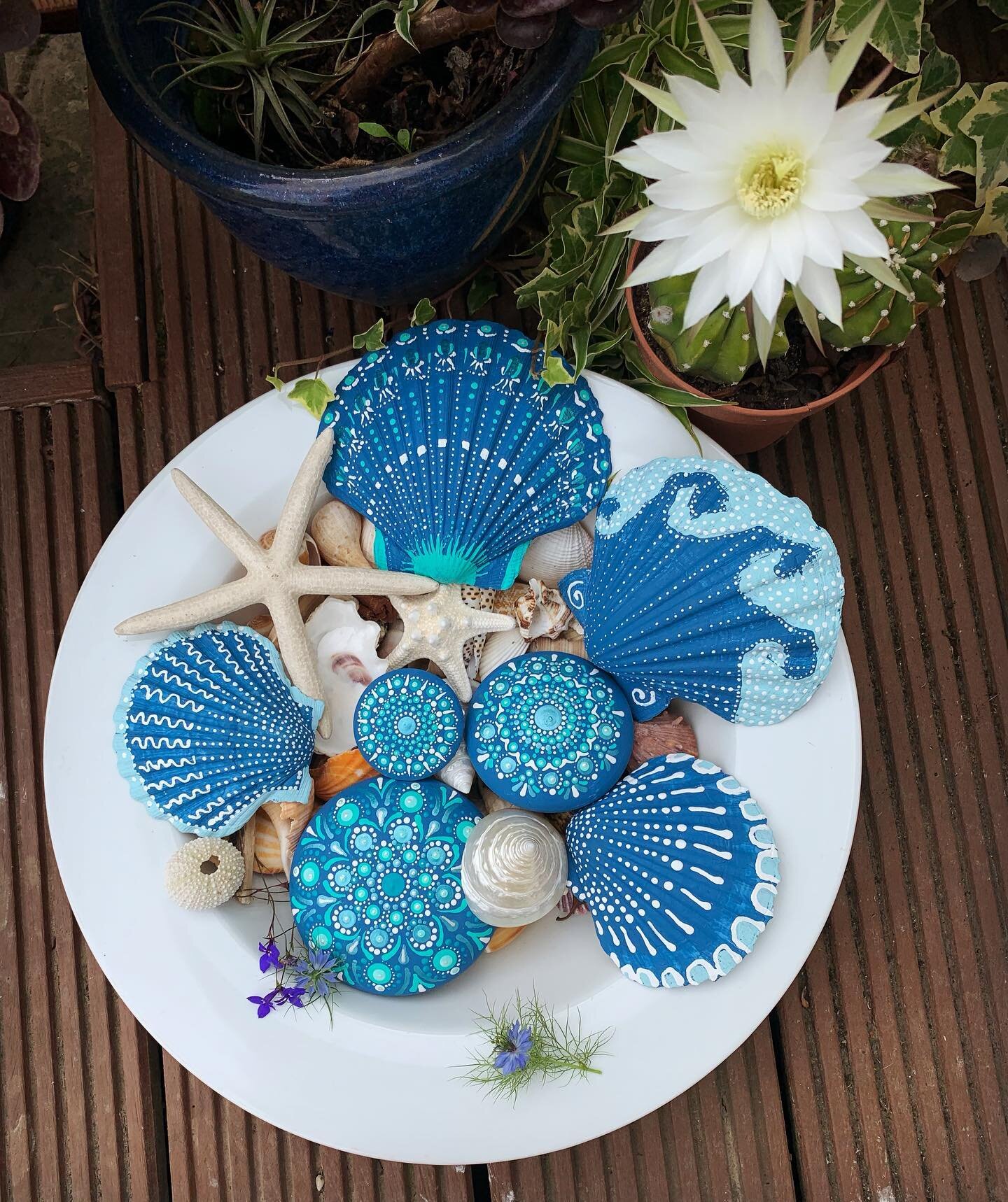 Its been hot hot hot 🥵 this week here in Jersey so here&rsquo;s a plate of cool 😎 &ldquo;Admiral blue&rdquo;  to counteract the heat! Happy Friday everyone 😊