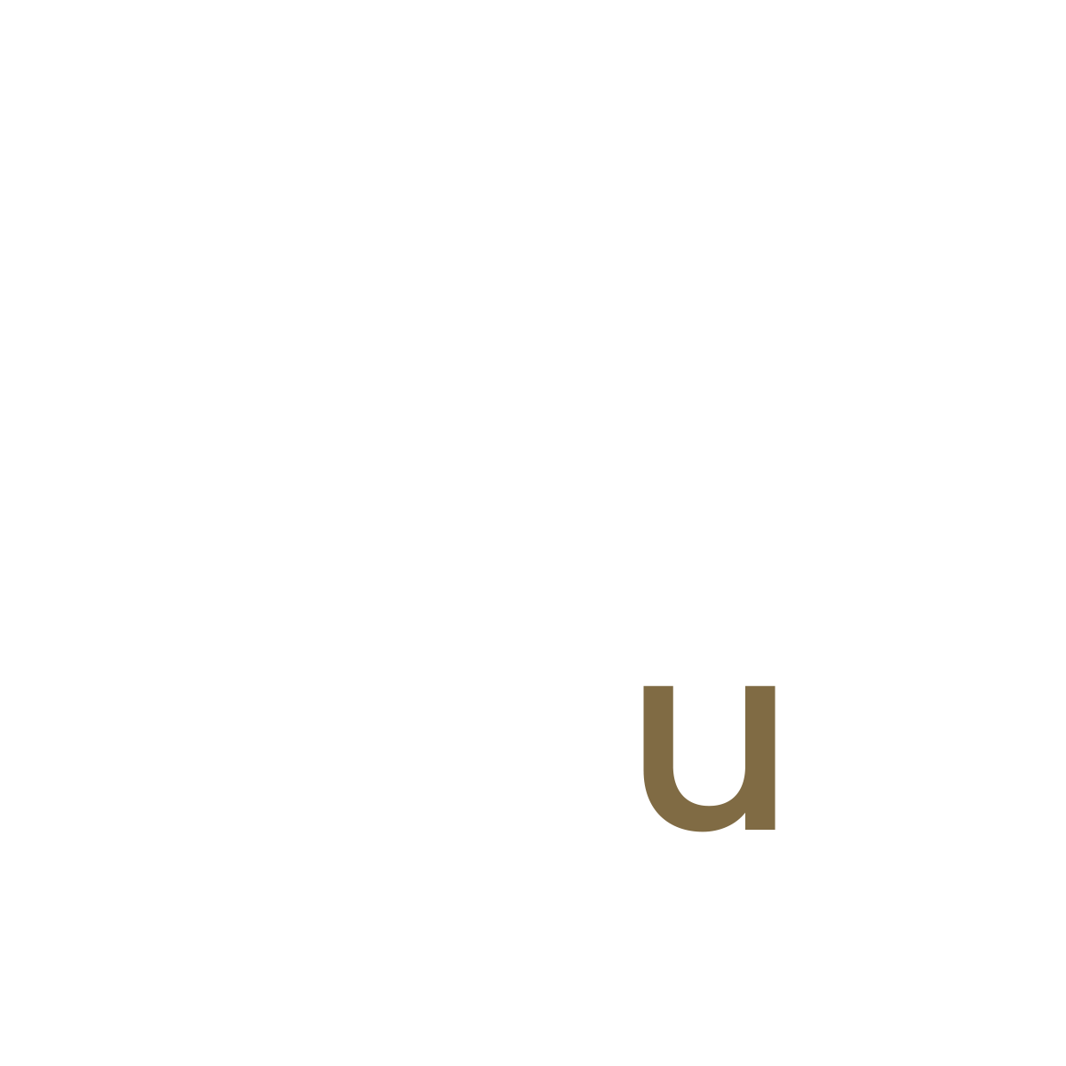 The Salon Hub