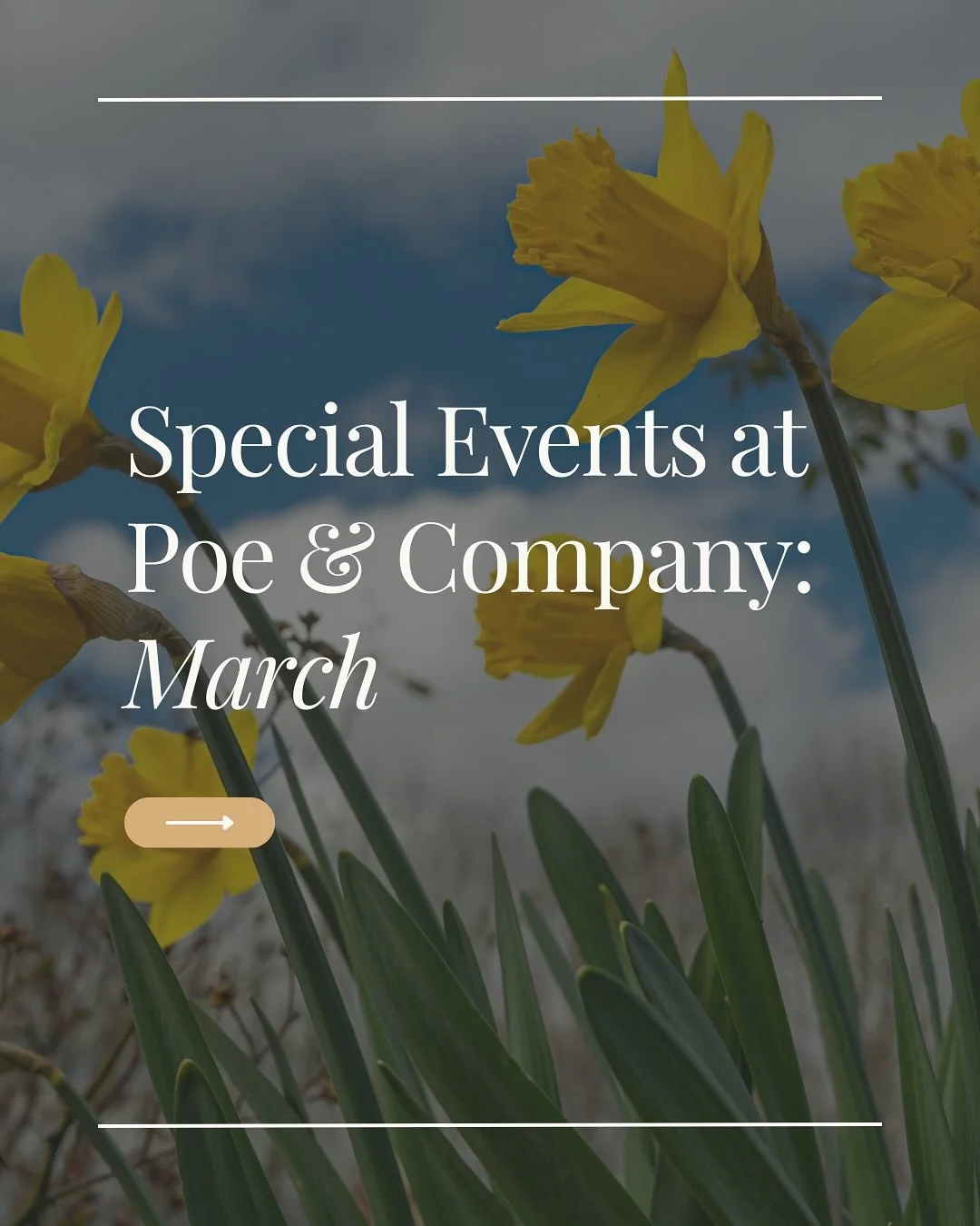 📖Don&rsquo;t miss out on all the interesting and fun events at @poeandcompanybookstorellc during the month of March! Check out the author events, book clubs, writing clubs and so much more. It&rsquo;s a great place to find community centered around 