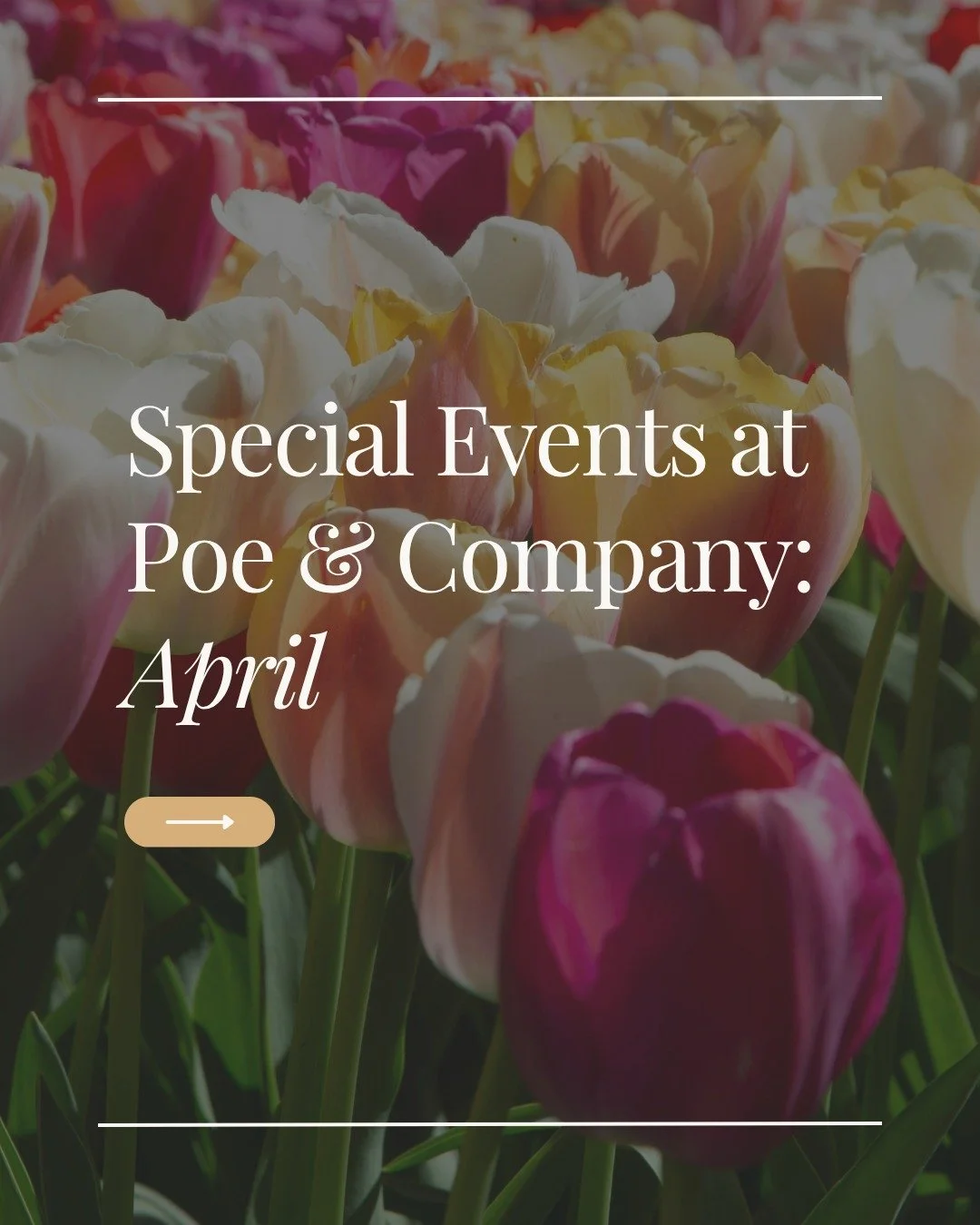April is a BIG month at @poeandcompanybookstorellc. Check out all the author events, book clubs and more at Milton&rsquo;s favorite bookstore. Find your &ldquo;book&rdquo; community! 📖

#books #bookstore #authorevents #localbookstore #miltonga #crab
