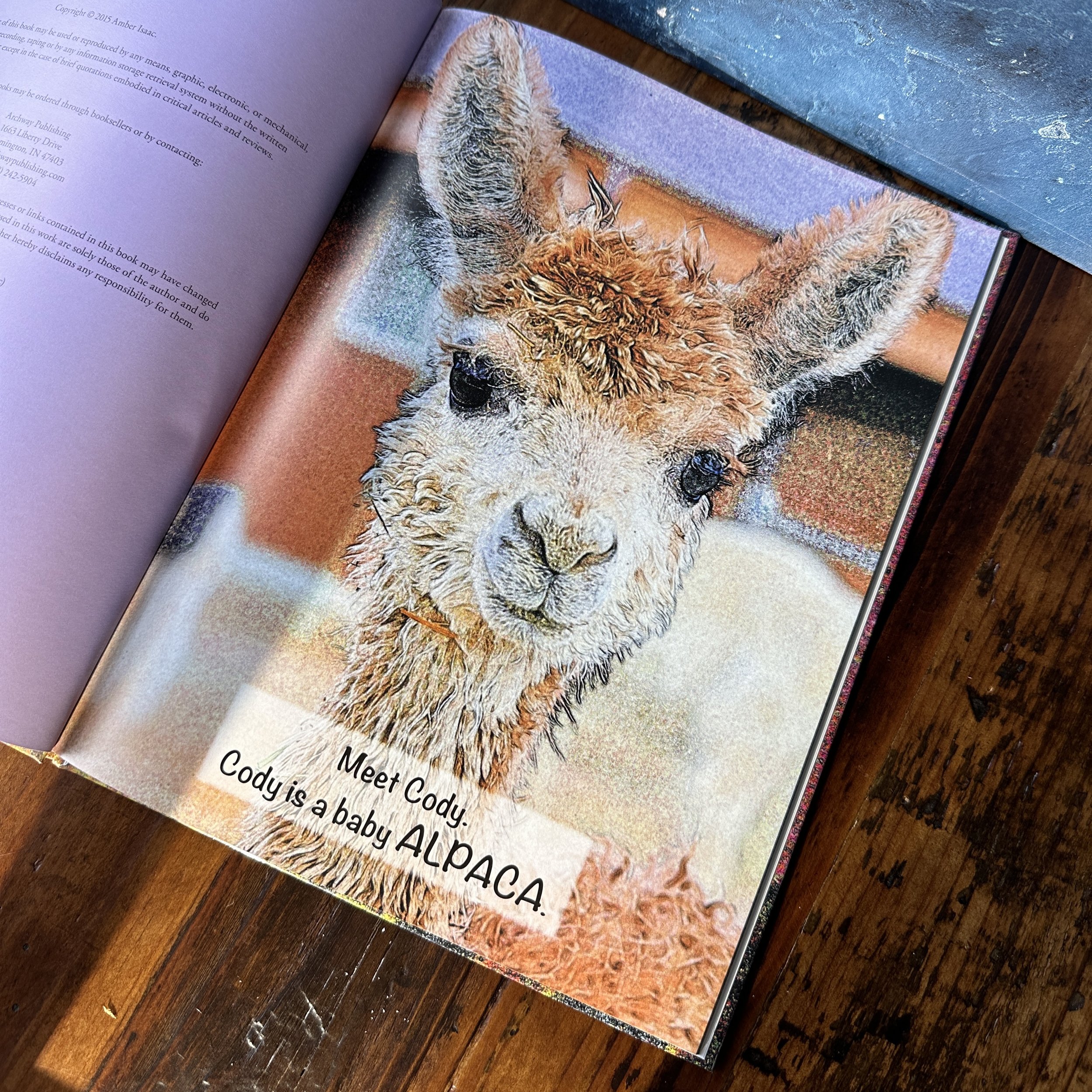 Cody the Alpaca Book and Plush
