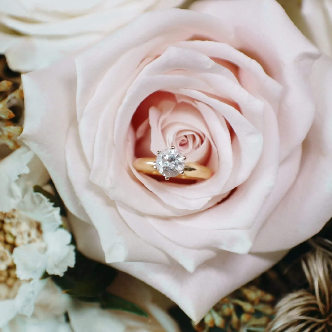 ring_1.3.1.jpg