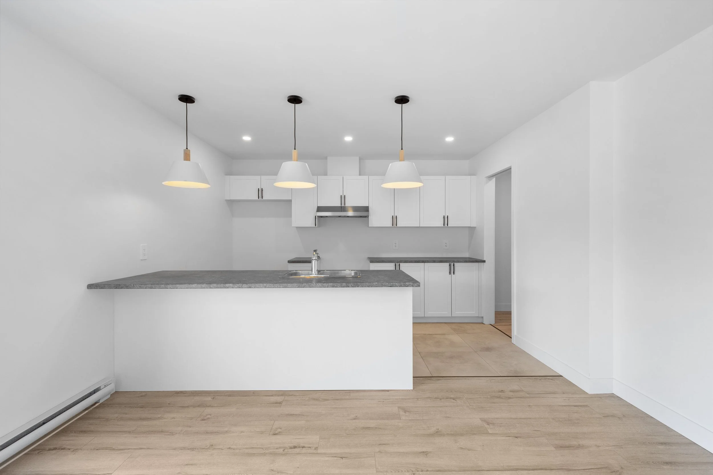 03_1117 Rue Raymond, Saint-Dominique, QC.jpg