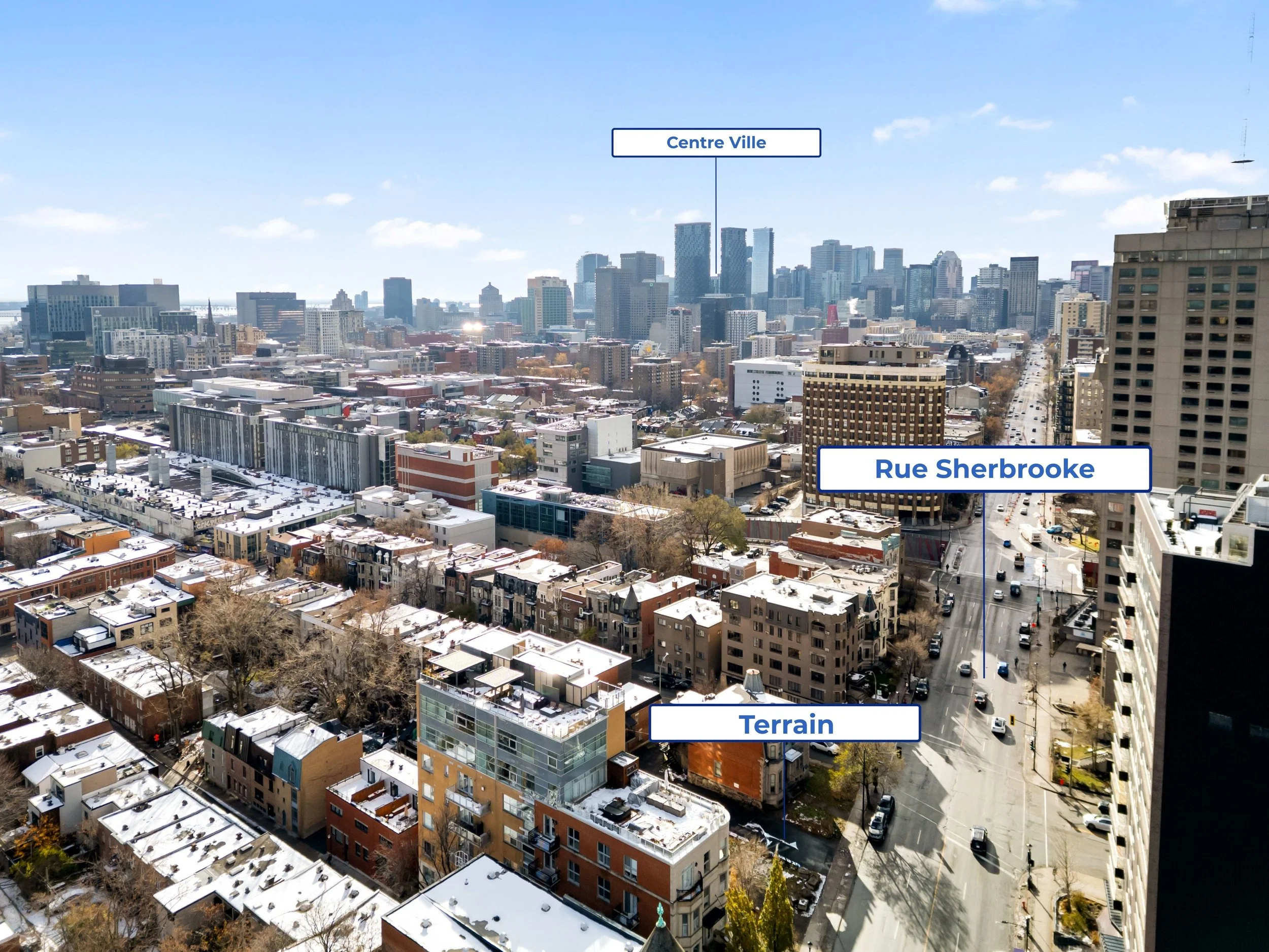 Identification 01.jpg