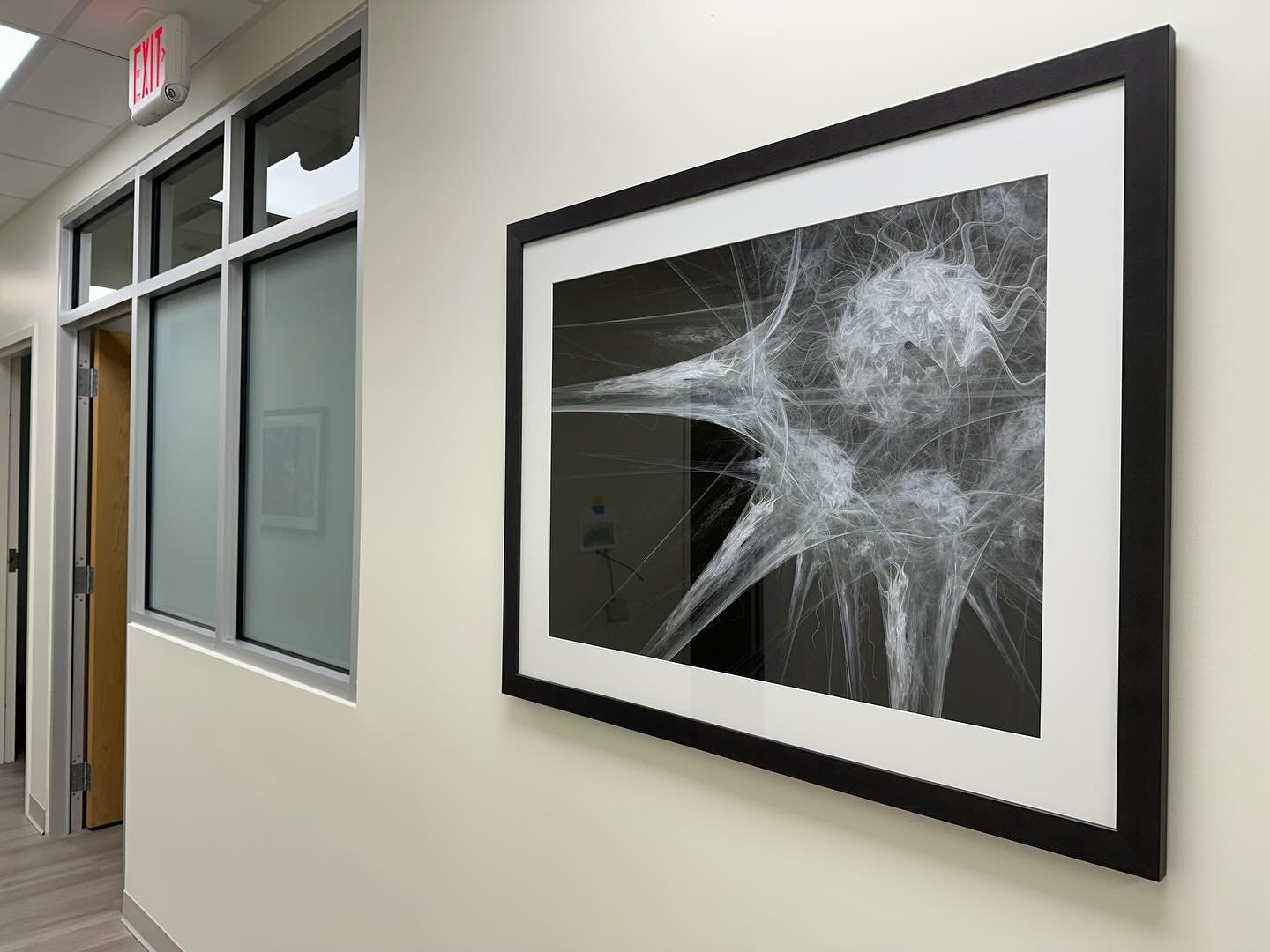 Neurology Suite. Not your typical imagery..fun one to work on!