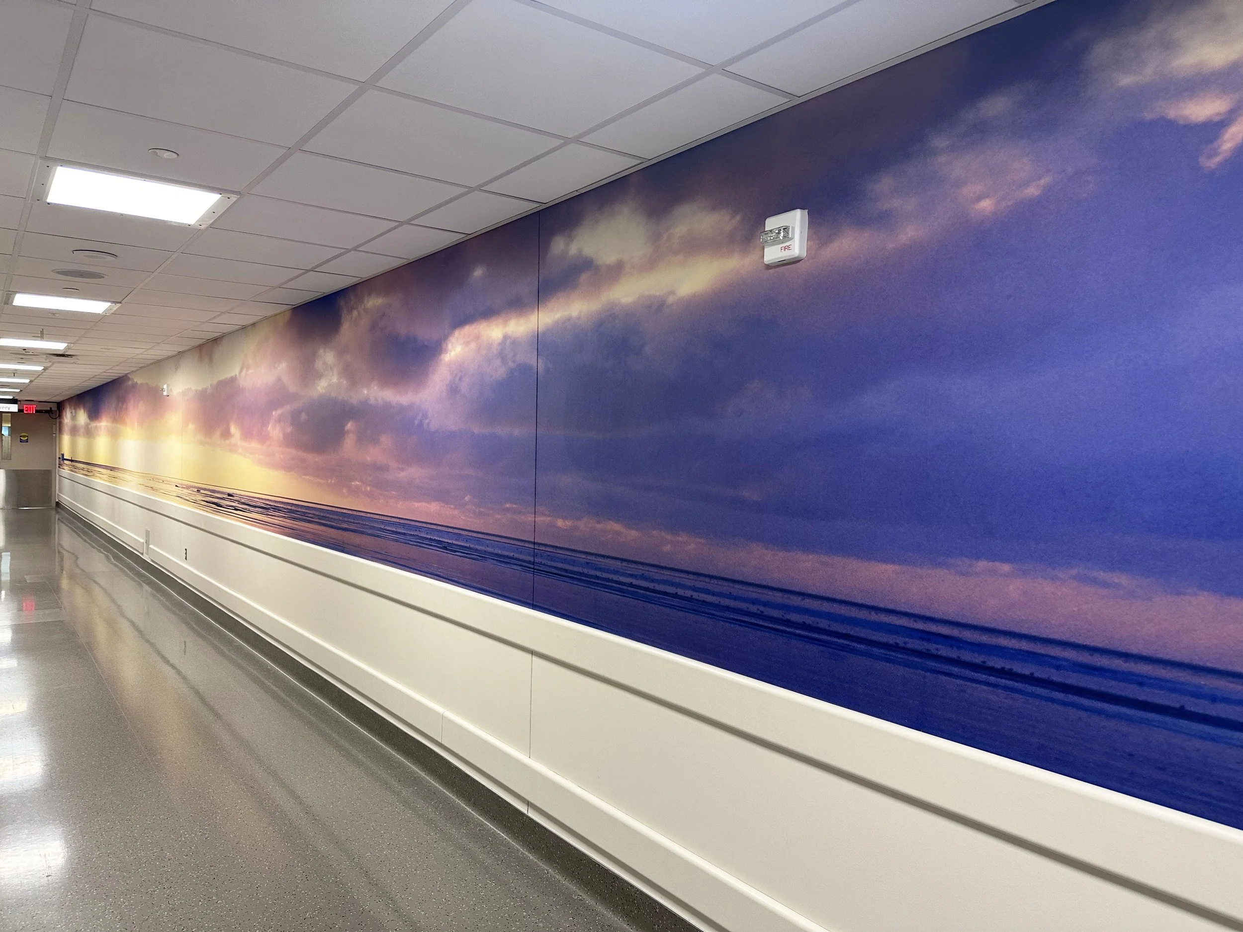 Photographic Wall Mural