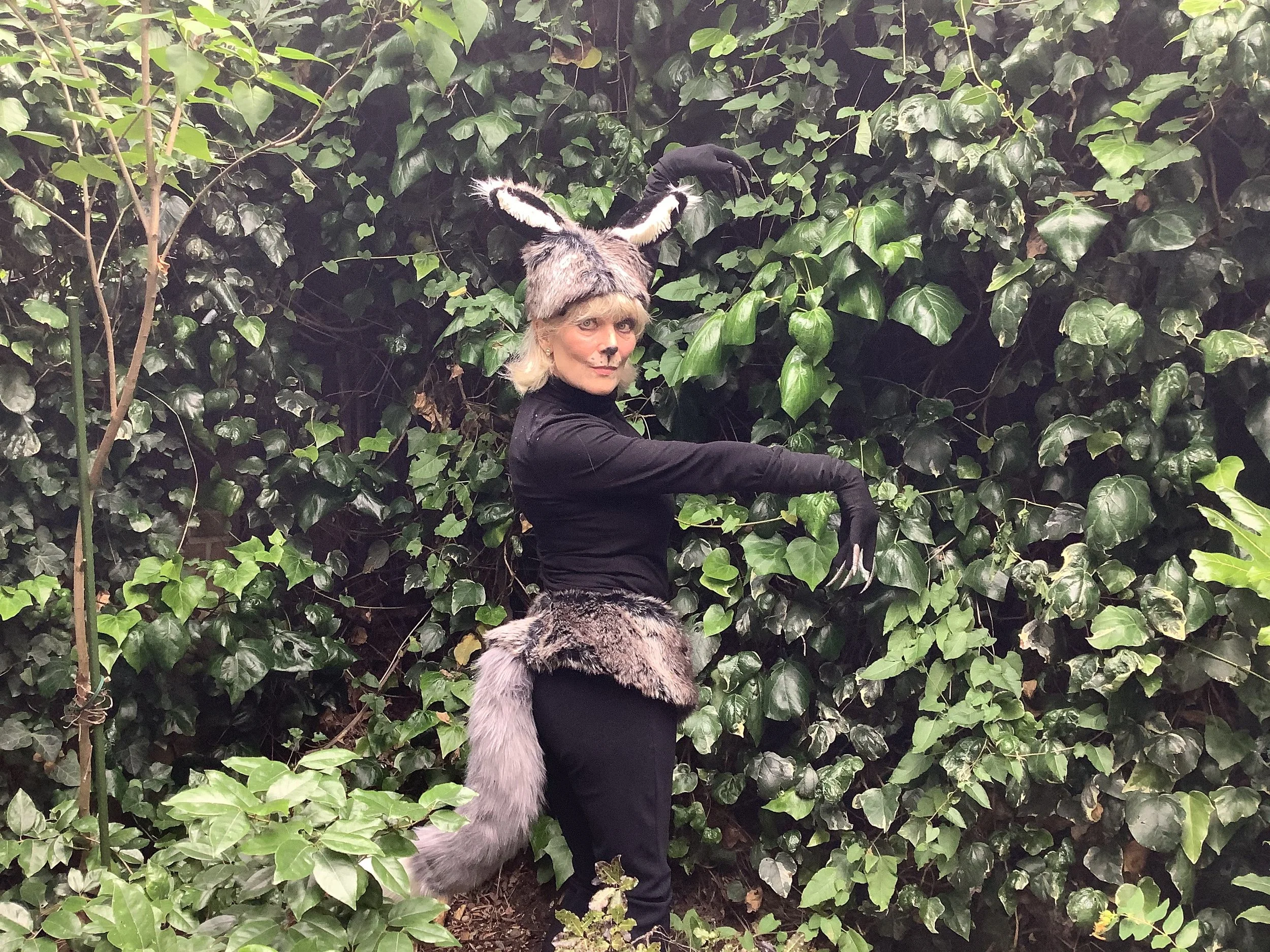 Older female dancer in costume as a silver fox