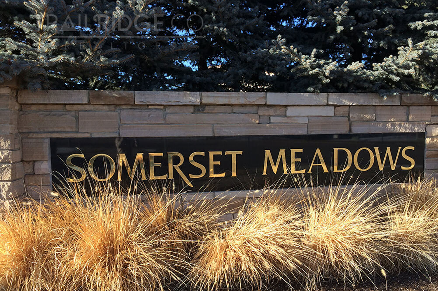 somerset-meadows11.jpg