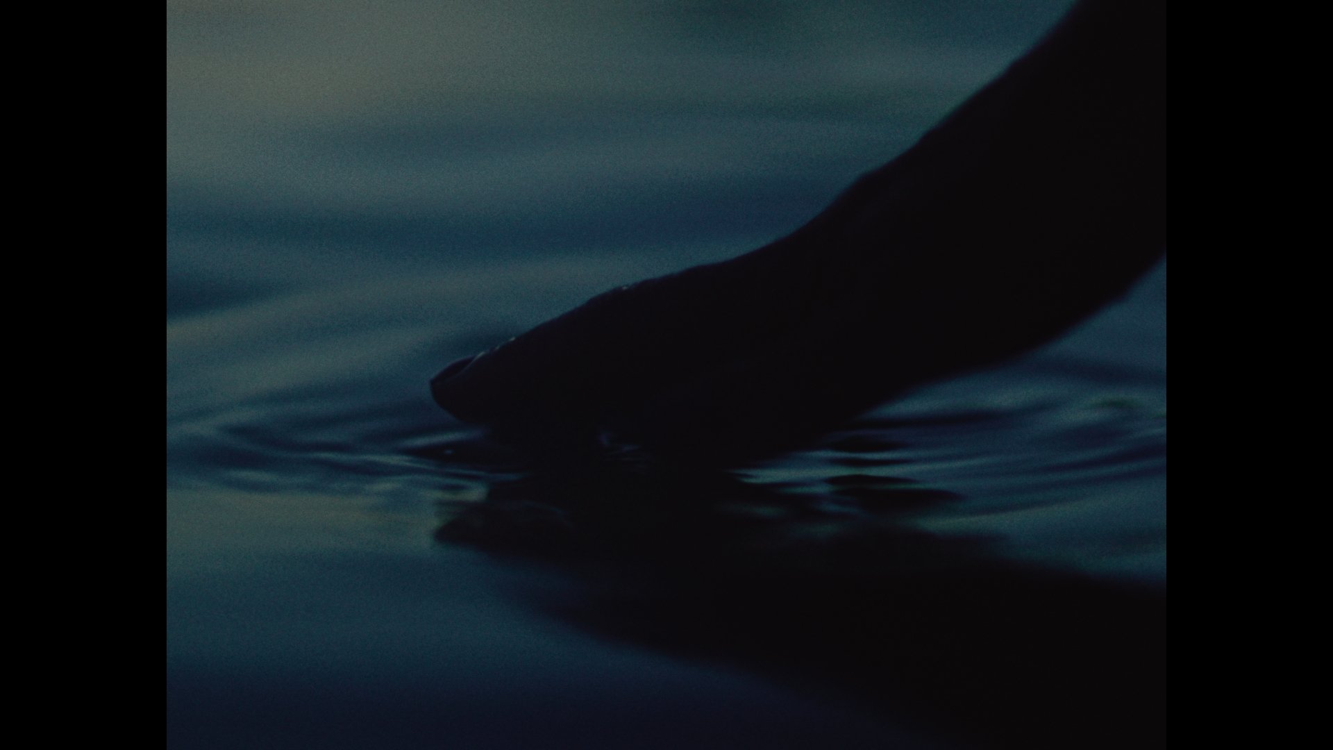 BlueWave_1.52.1.jpg