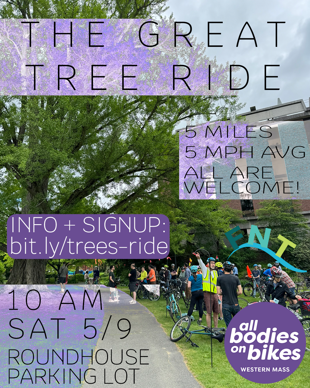 Western Mass - The Great Tree Ride