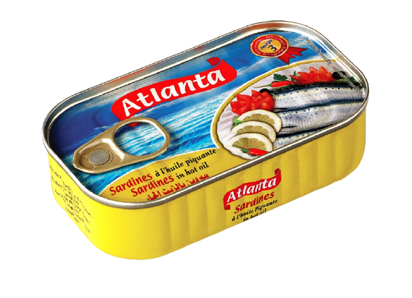 atlanta sarines-2.png