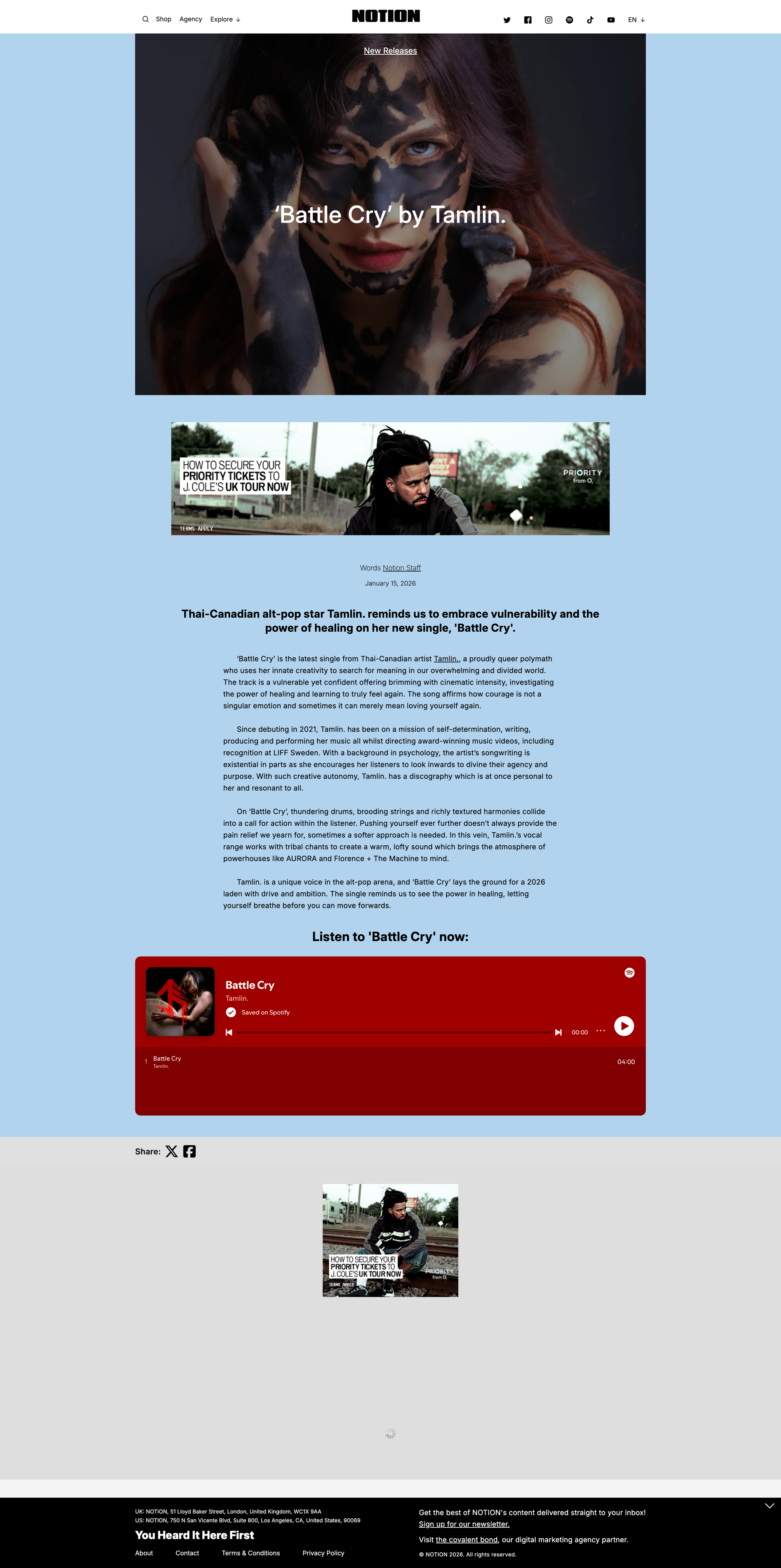 Screenshot of the blog by Notion