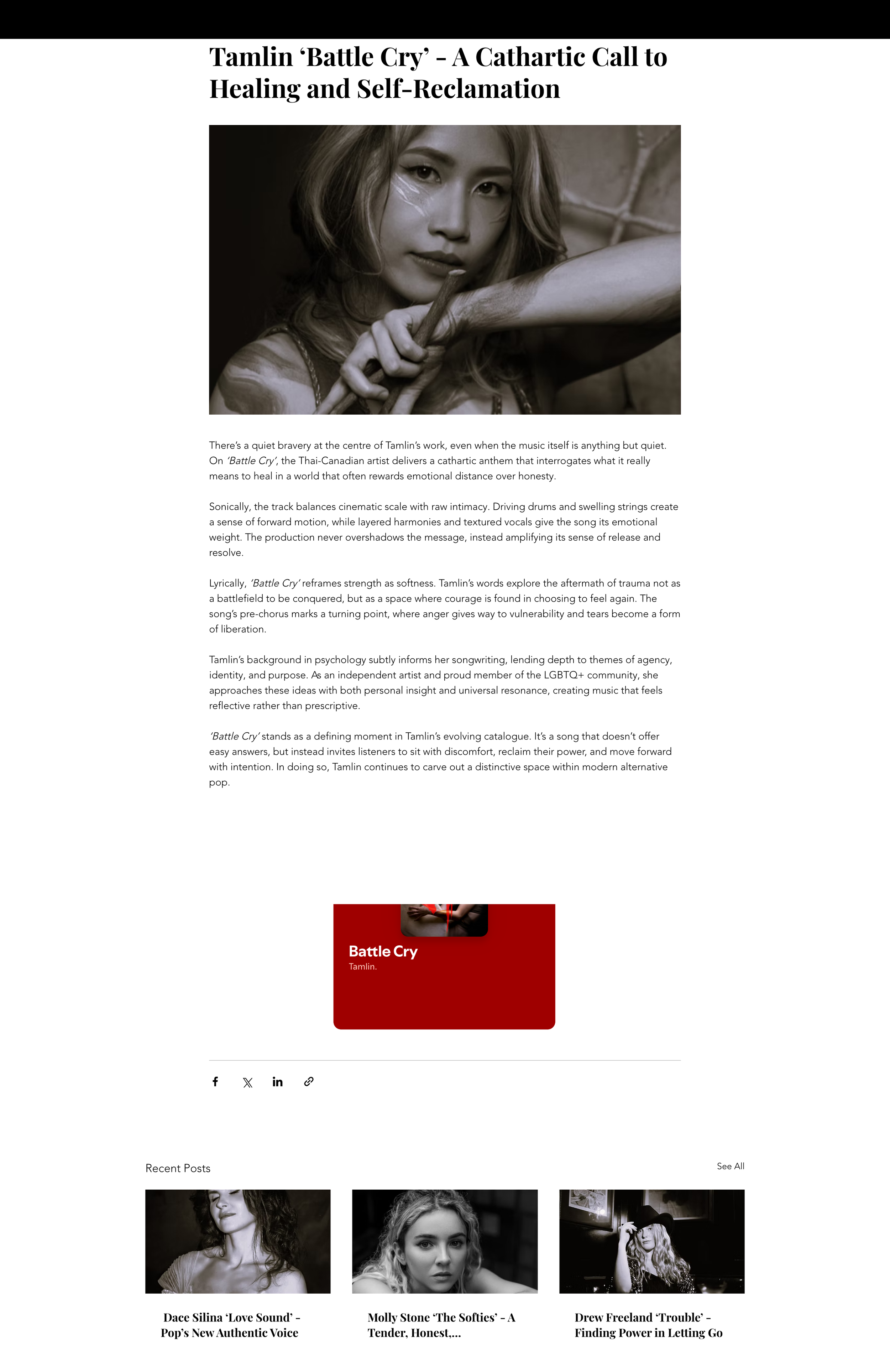 Screenshot of the blog by Sonic Sisters