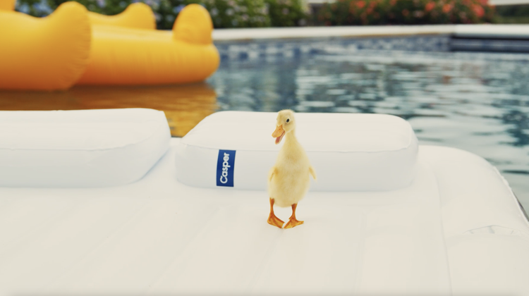 Casper | Campaign