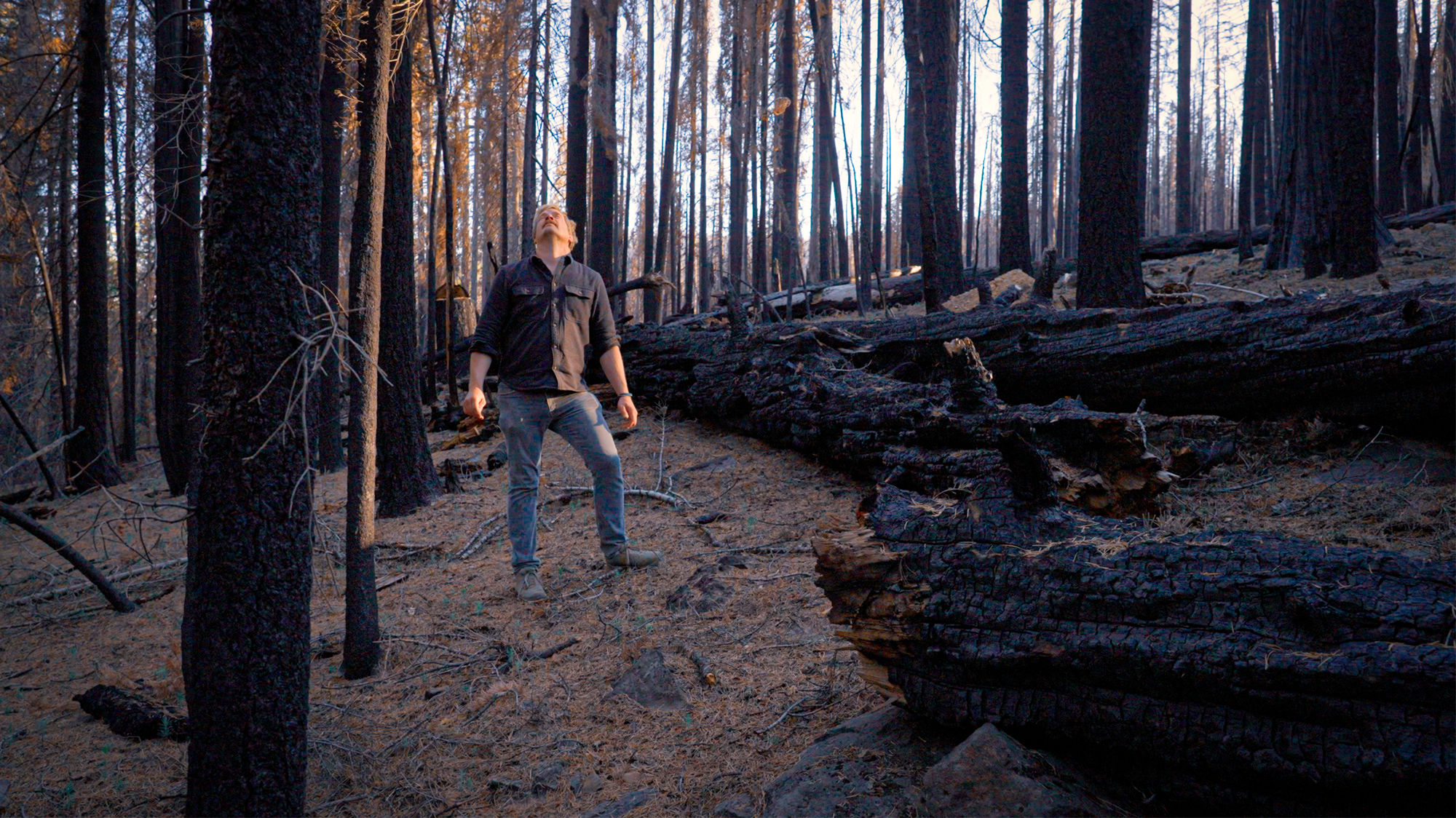 Poisoning the Forest for the Trees | Mother Jones | Producer