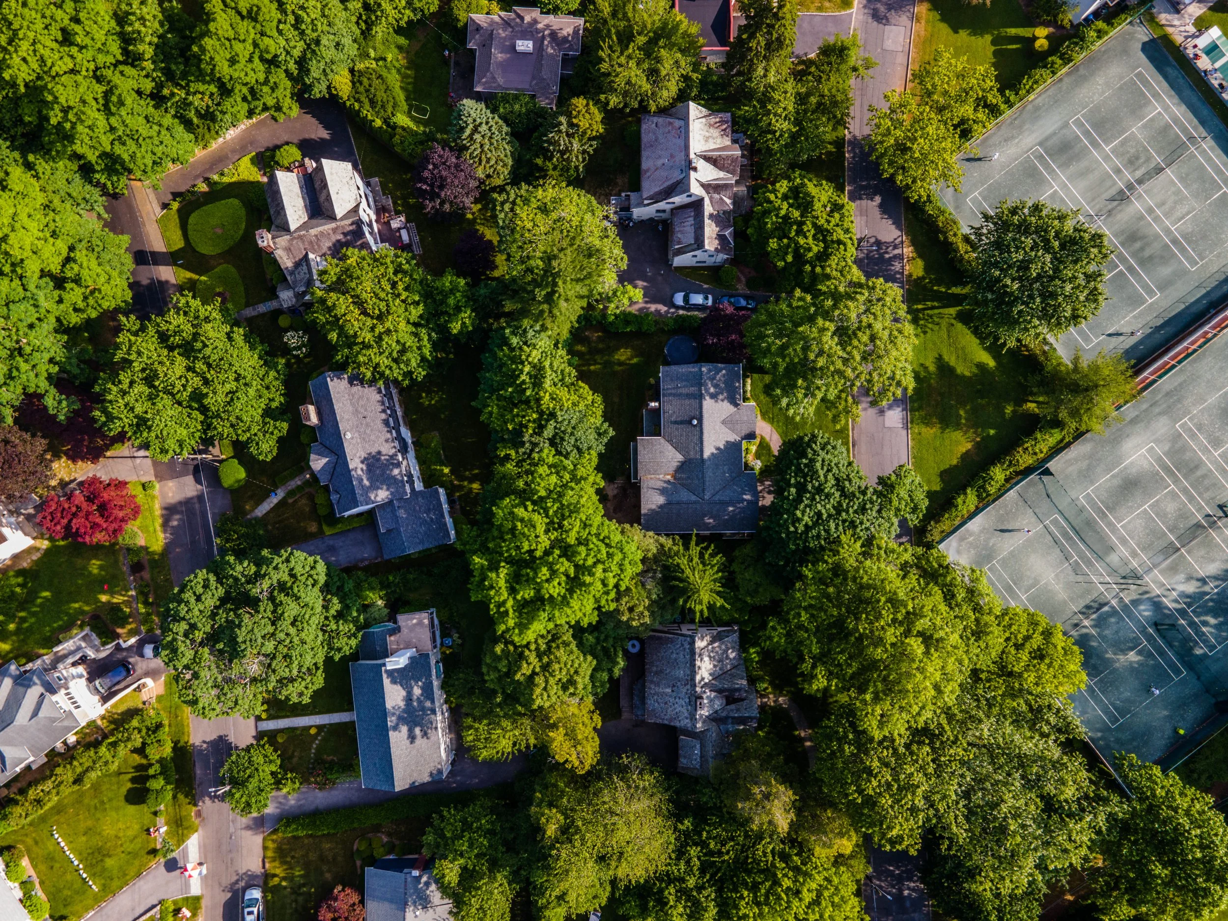 DJI_0140.jpg