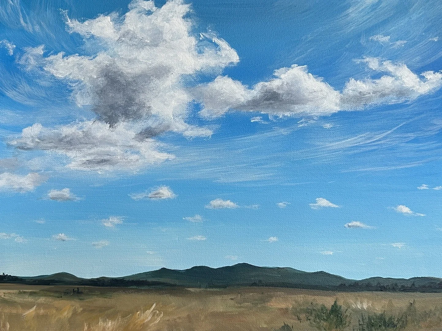High Desert Clouds - Beginner Acrylic Painting Class