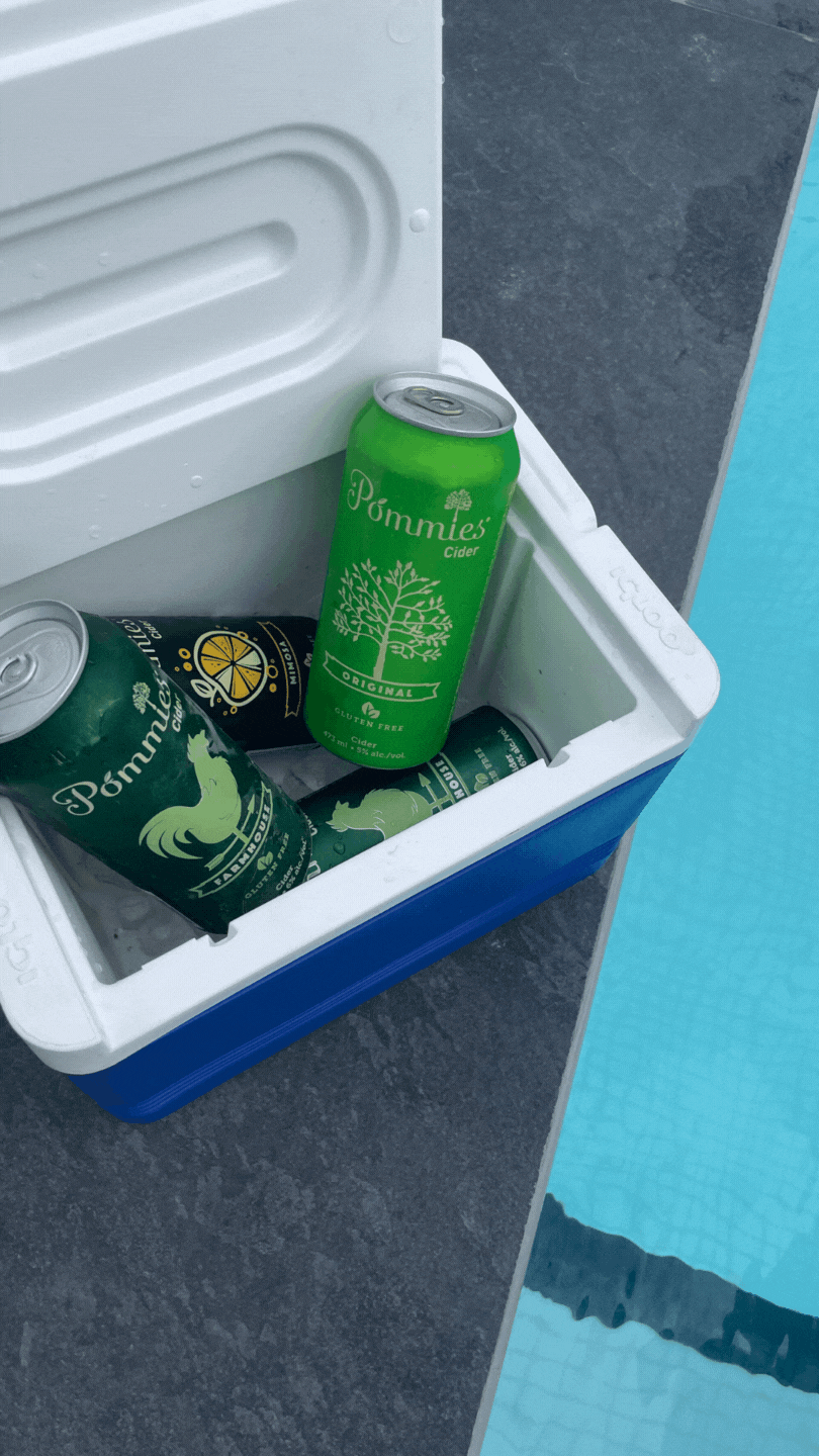 Copy of Untitled Design copy.gif