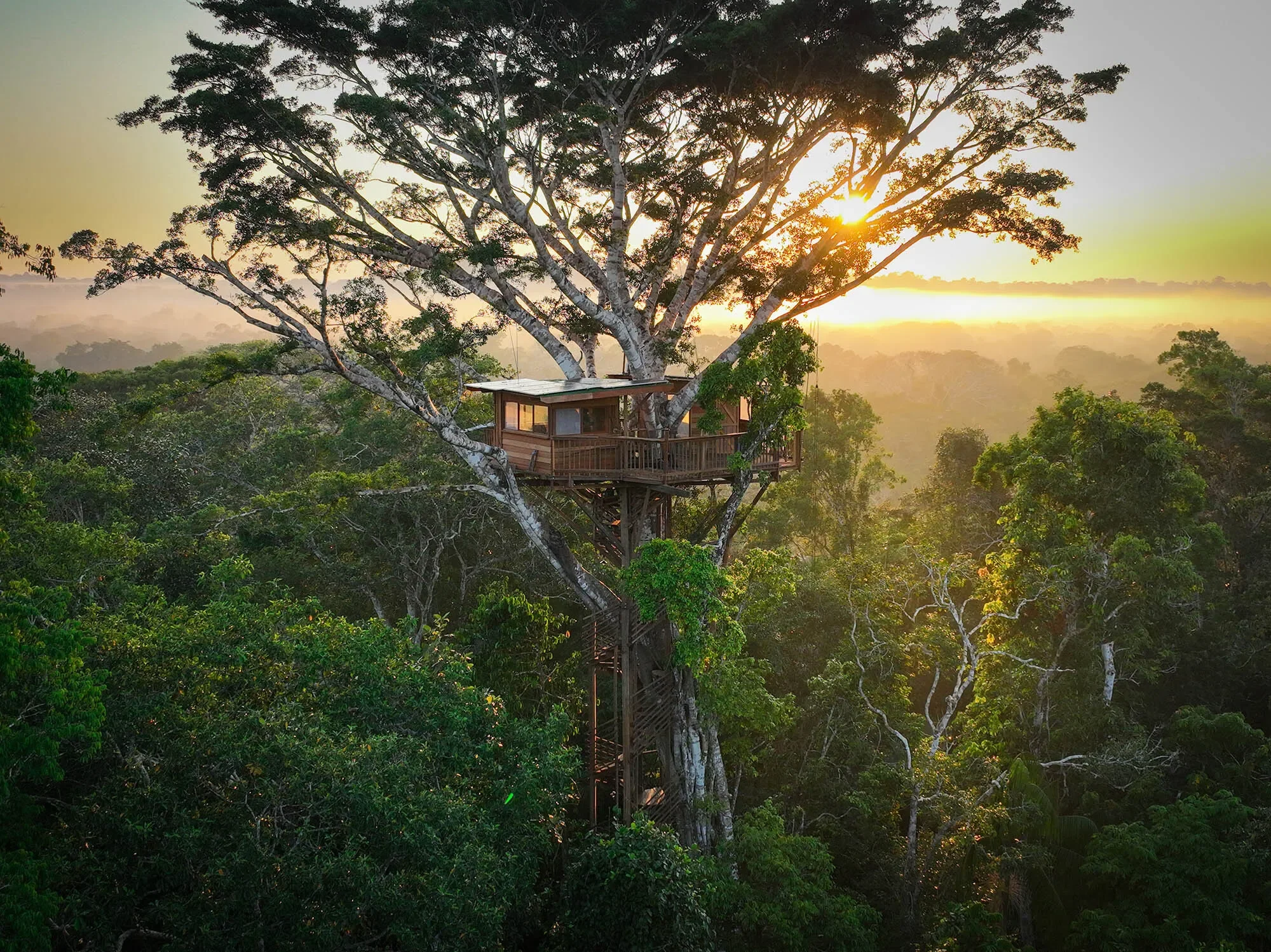 treehouse-sunrise-bcbaccff7c680352818aa40d92fdbc4fd50211039ad4cad5c90995803a9dcb50-1.webp