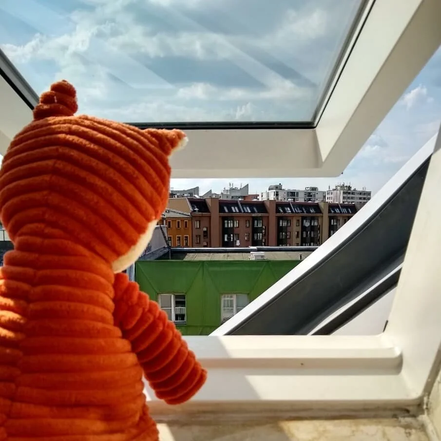 Blick aus meiner neuen WG 🏠 Riesengro&szlig;es Danke an all meine tollen Umzugshelfer*innen ❤️

#danke #umzug #angekommen #berlin #kreuzberg #fuchsbau #summertime #fensterblick #ausguck #hochbett