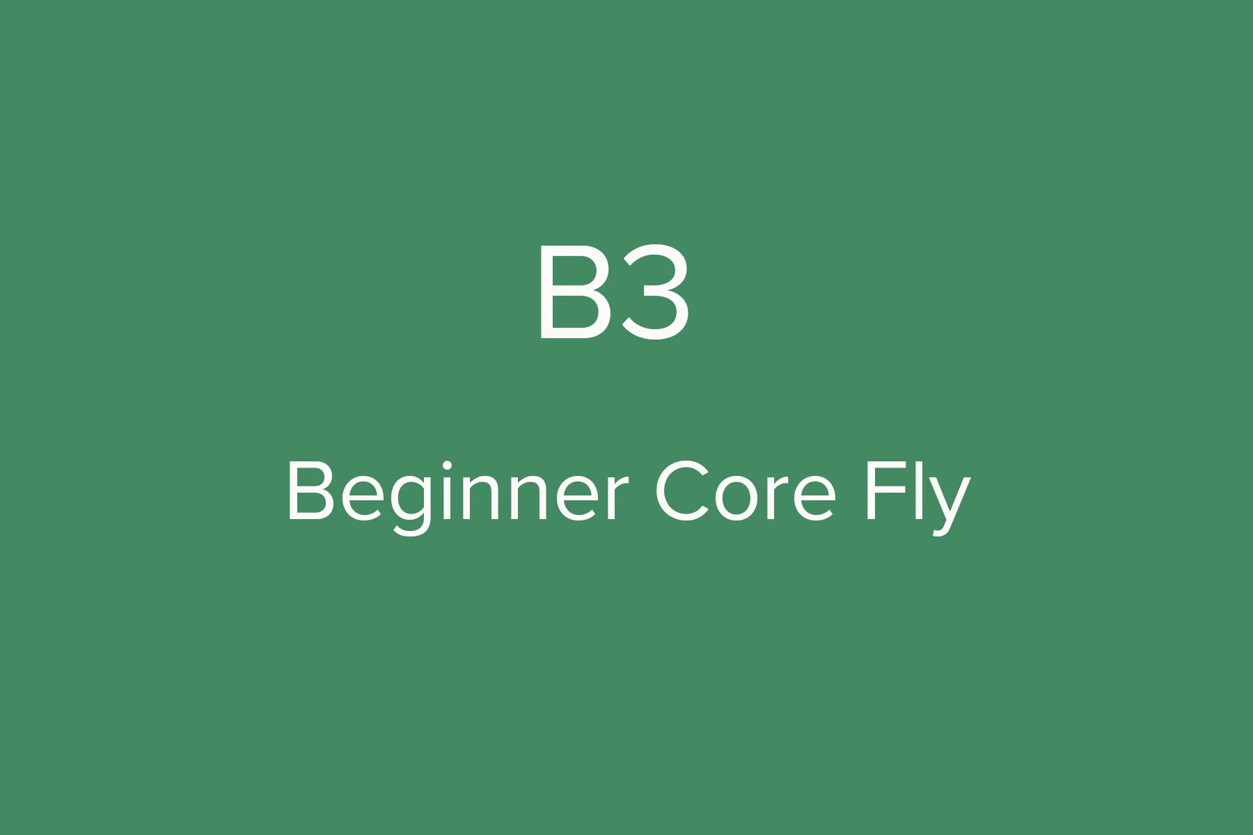 B3.jpg