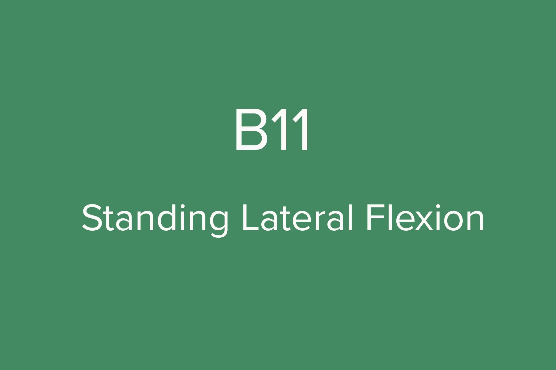 B11.jpg