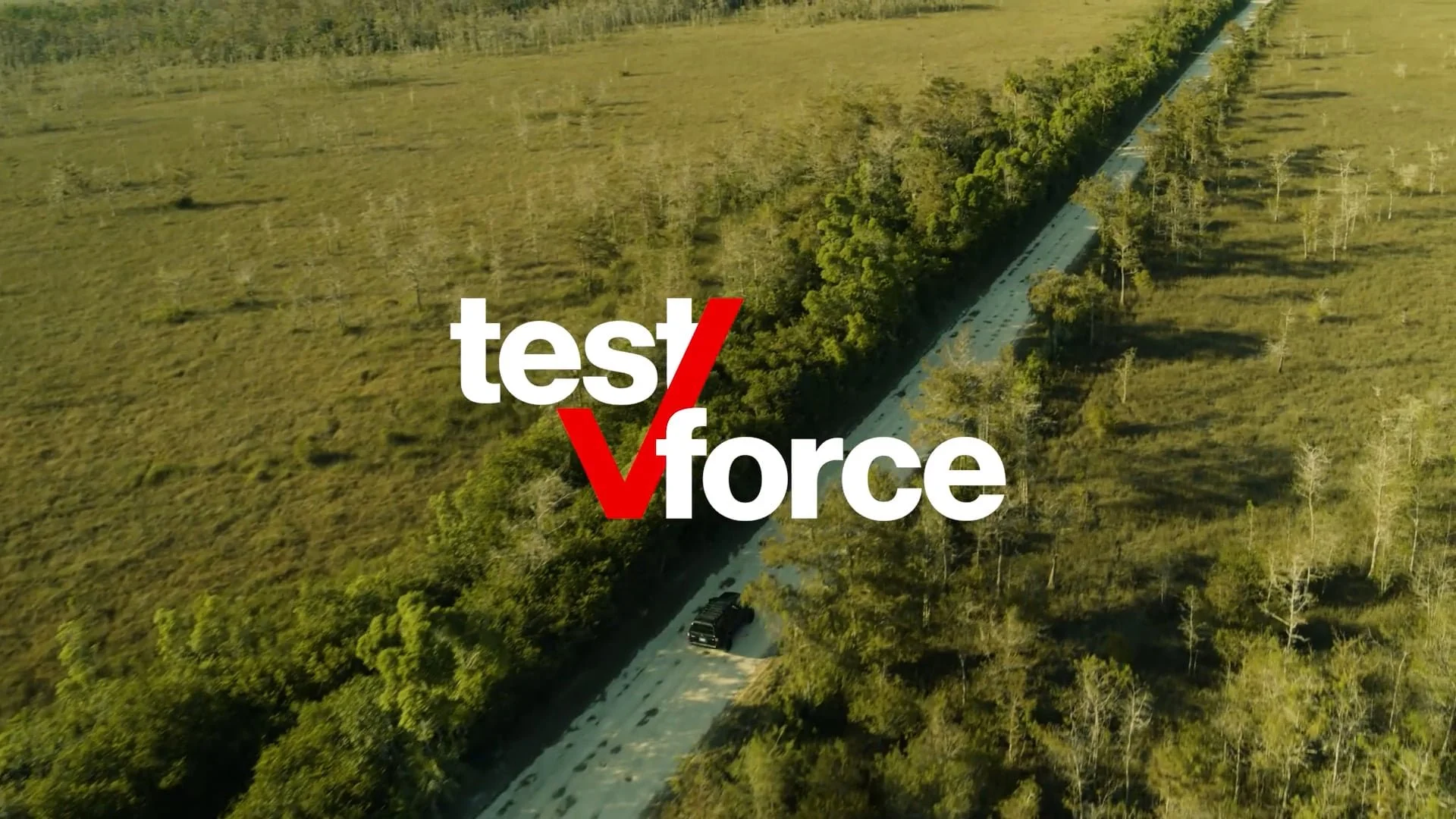 Verizon Test Force