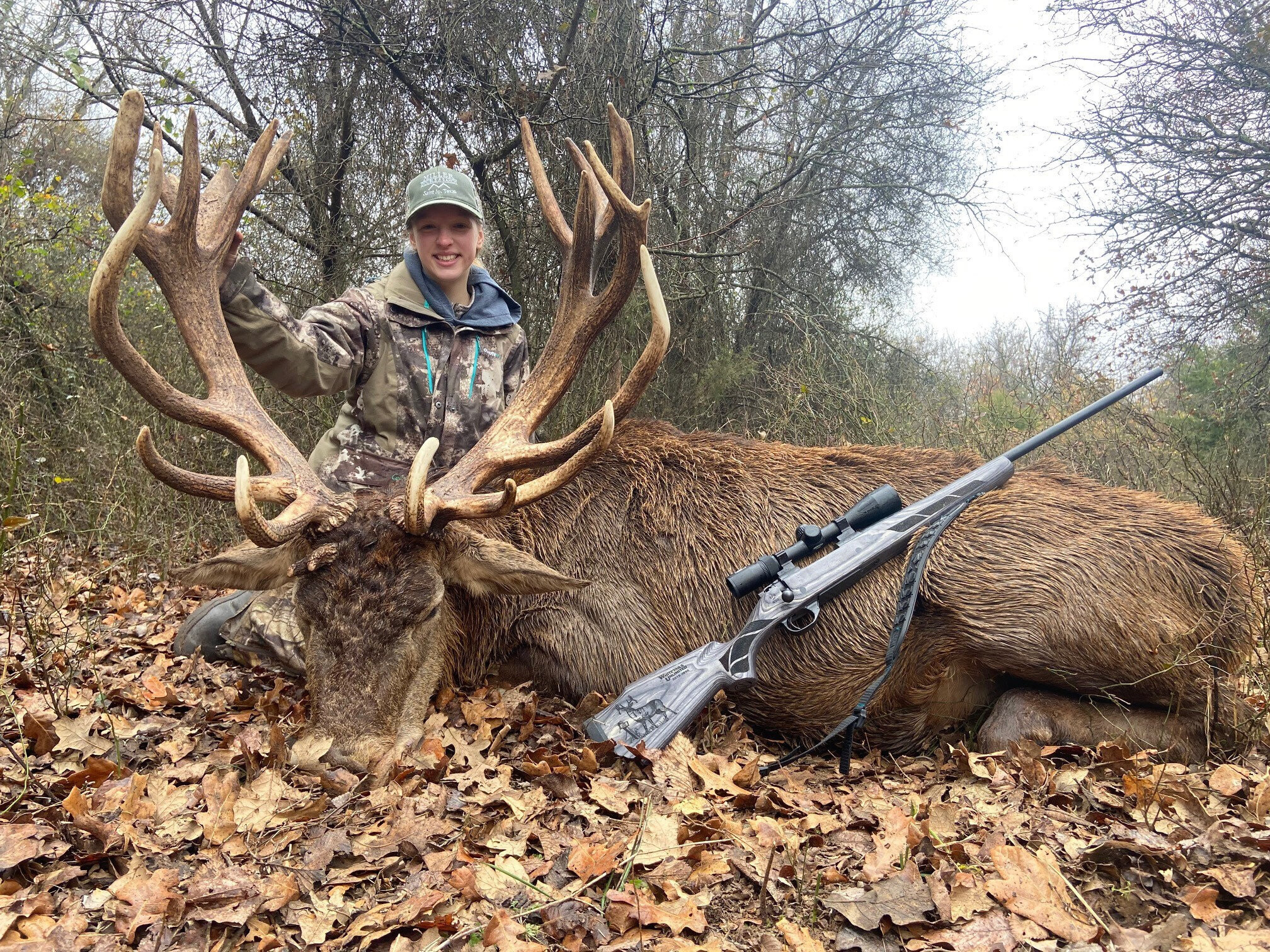 Stag harvest 3.jpg