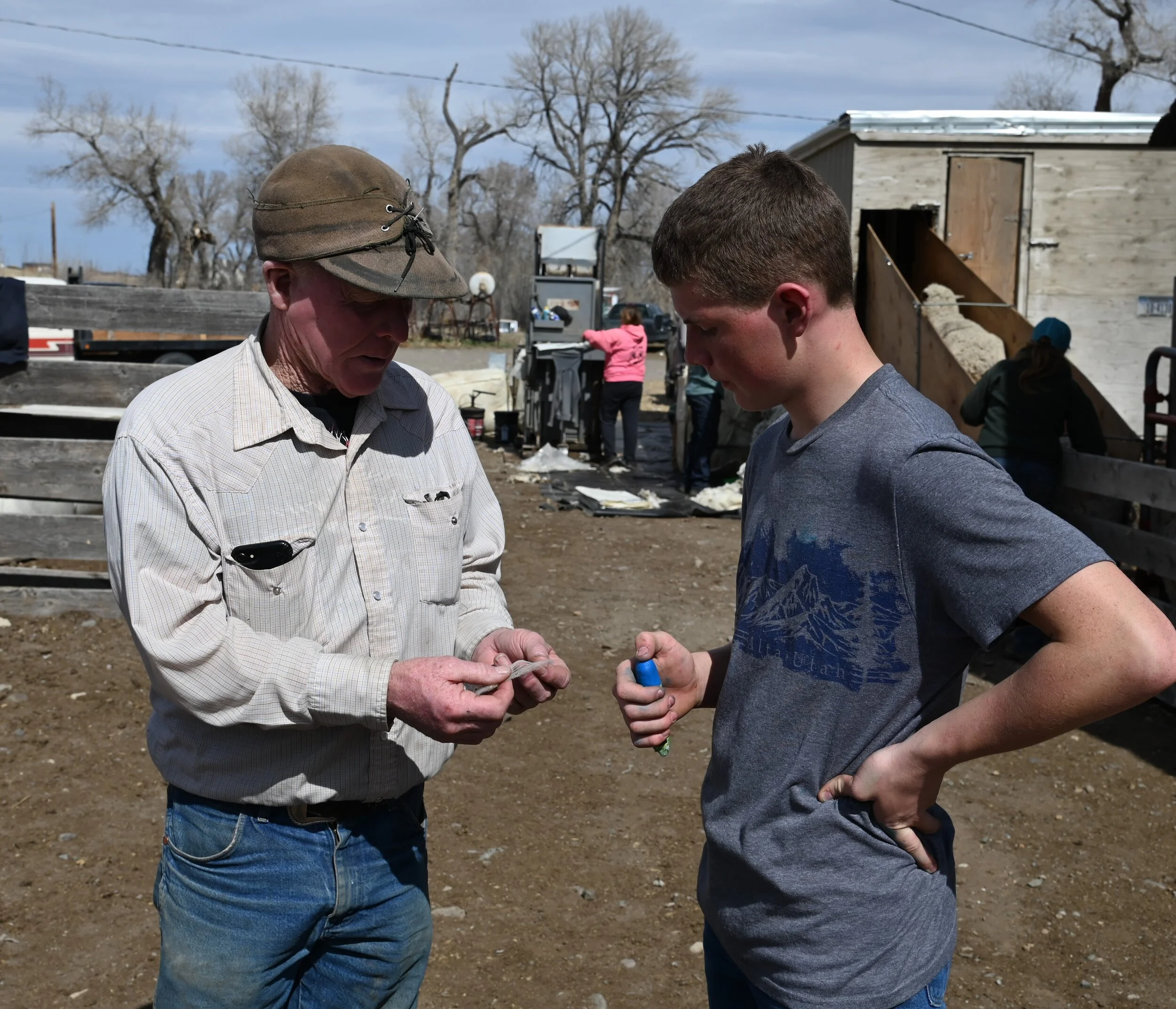 Ranching, Family, Sheep & Tradition — Raised in the West Magazine