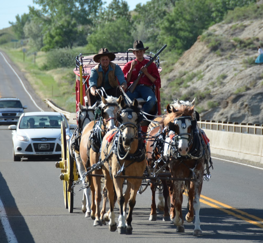 Staged Dreams, Wild Mustangs and An Undaunted Spirit