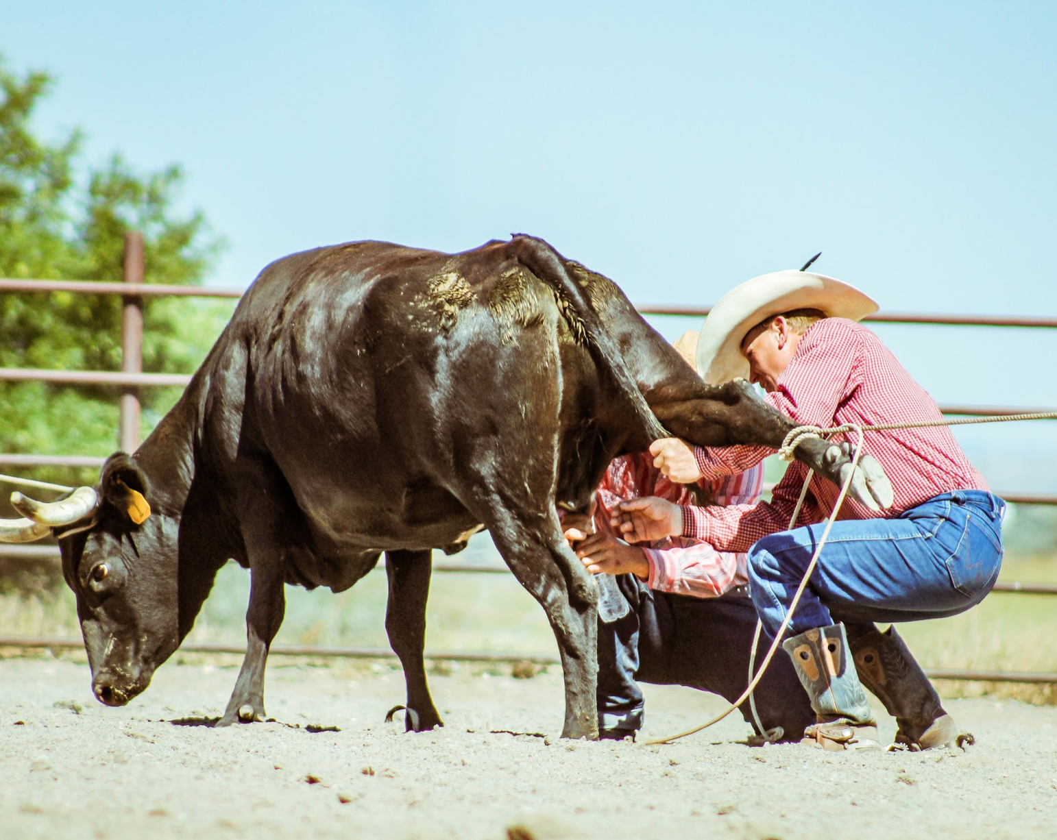 Ranch Rodeos&nbsp;