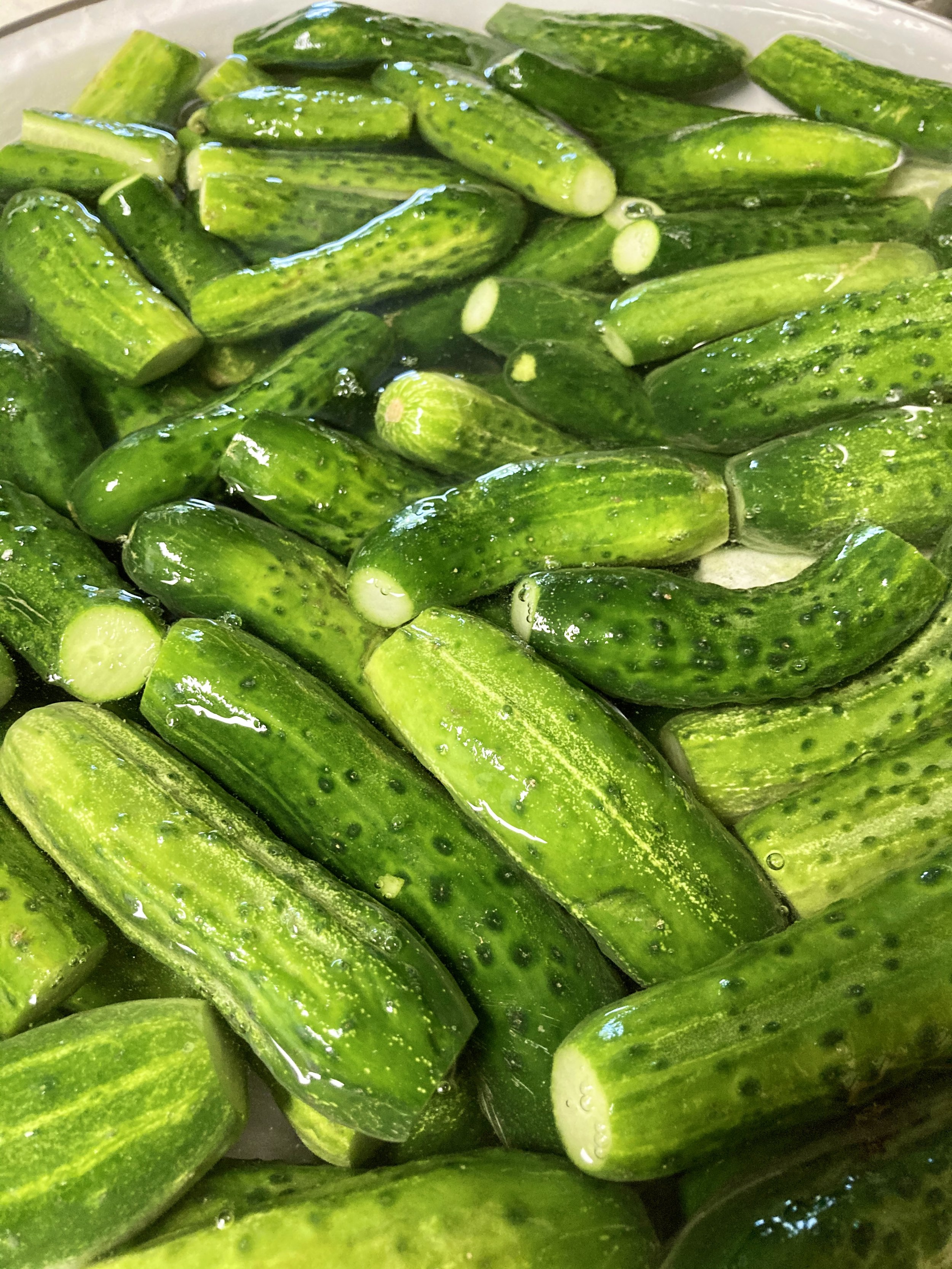 Cucumbers ready to pickle.jpeg