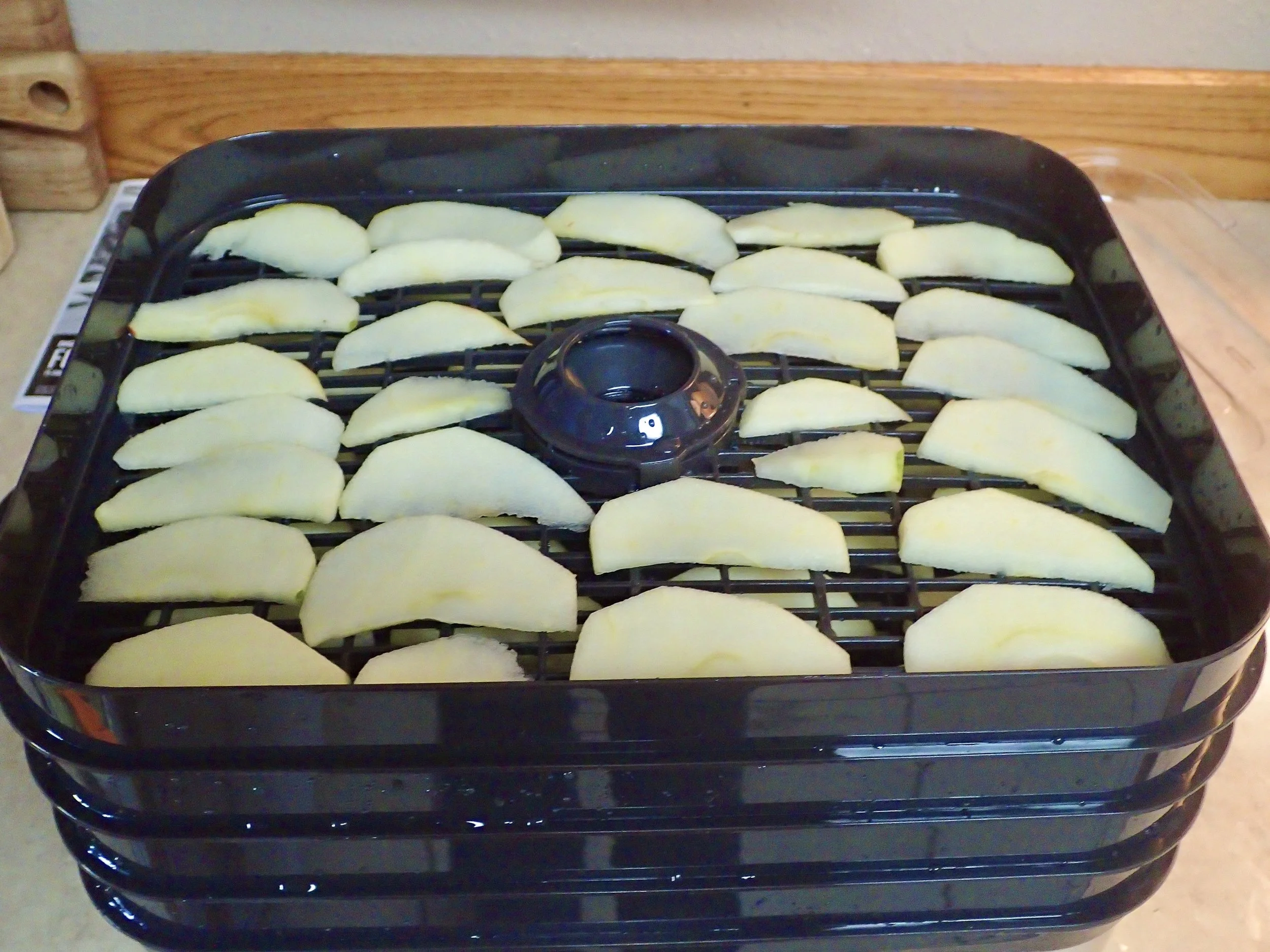 Apples in dehydrator.jpeg