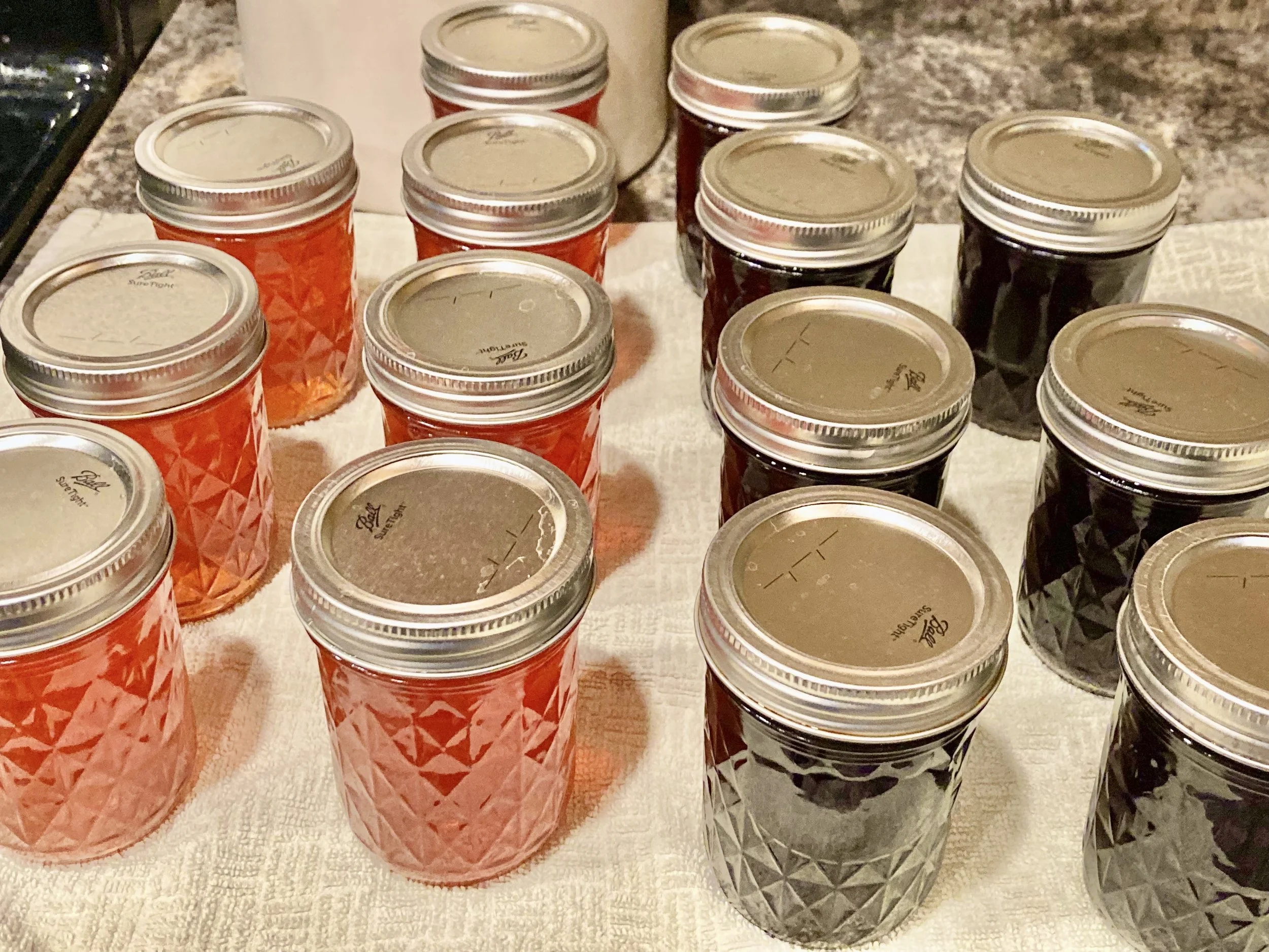 Jellies made from crabapple and grape.jpeg