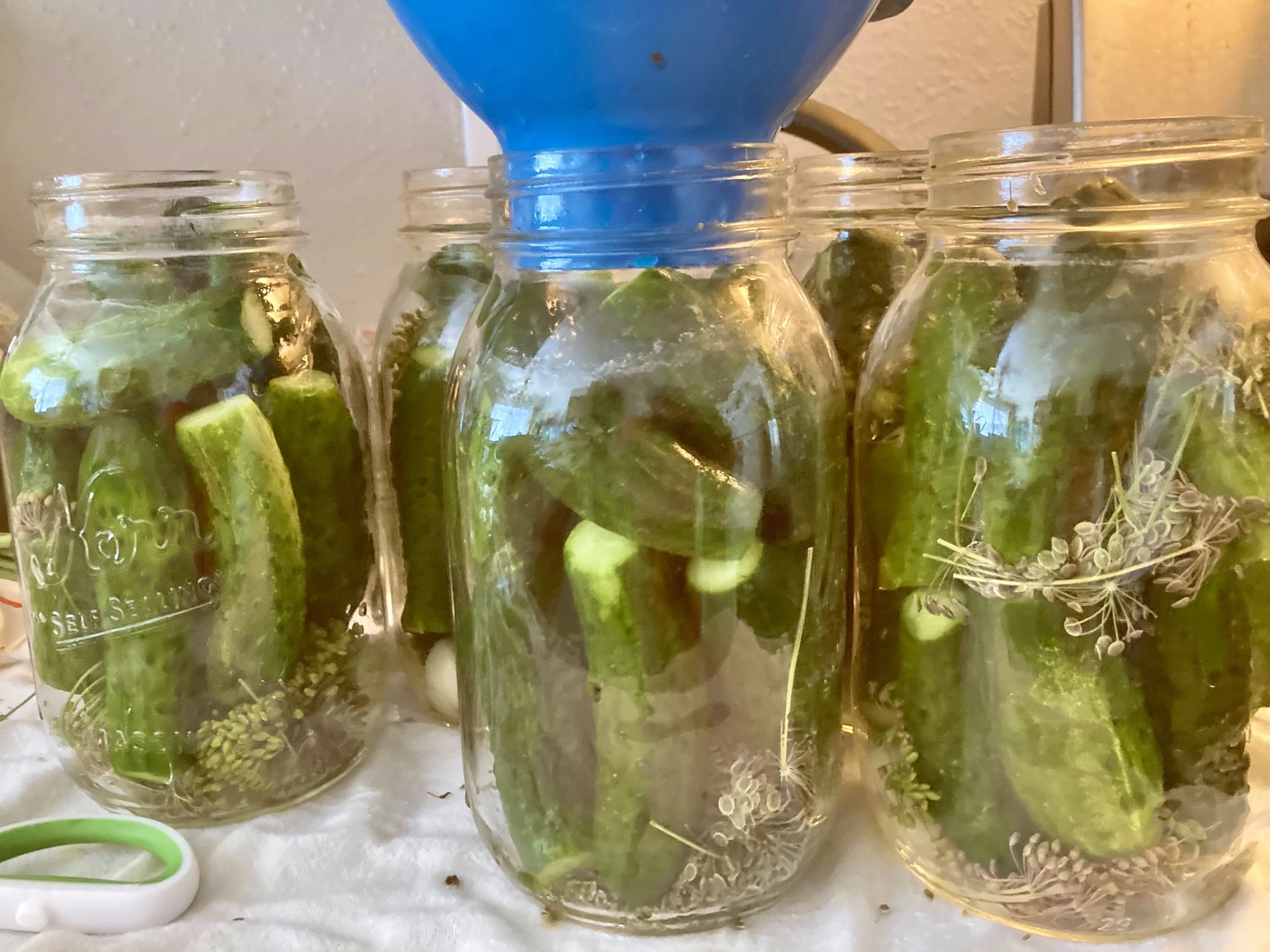 Canning pickles.jpeg