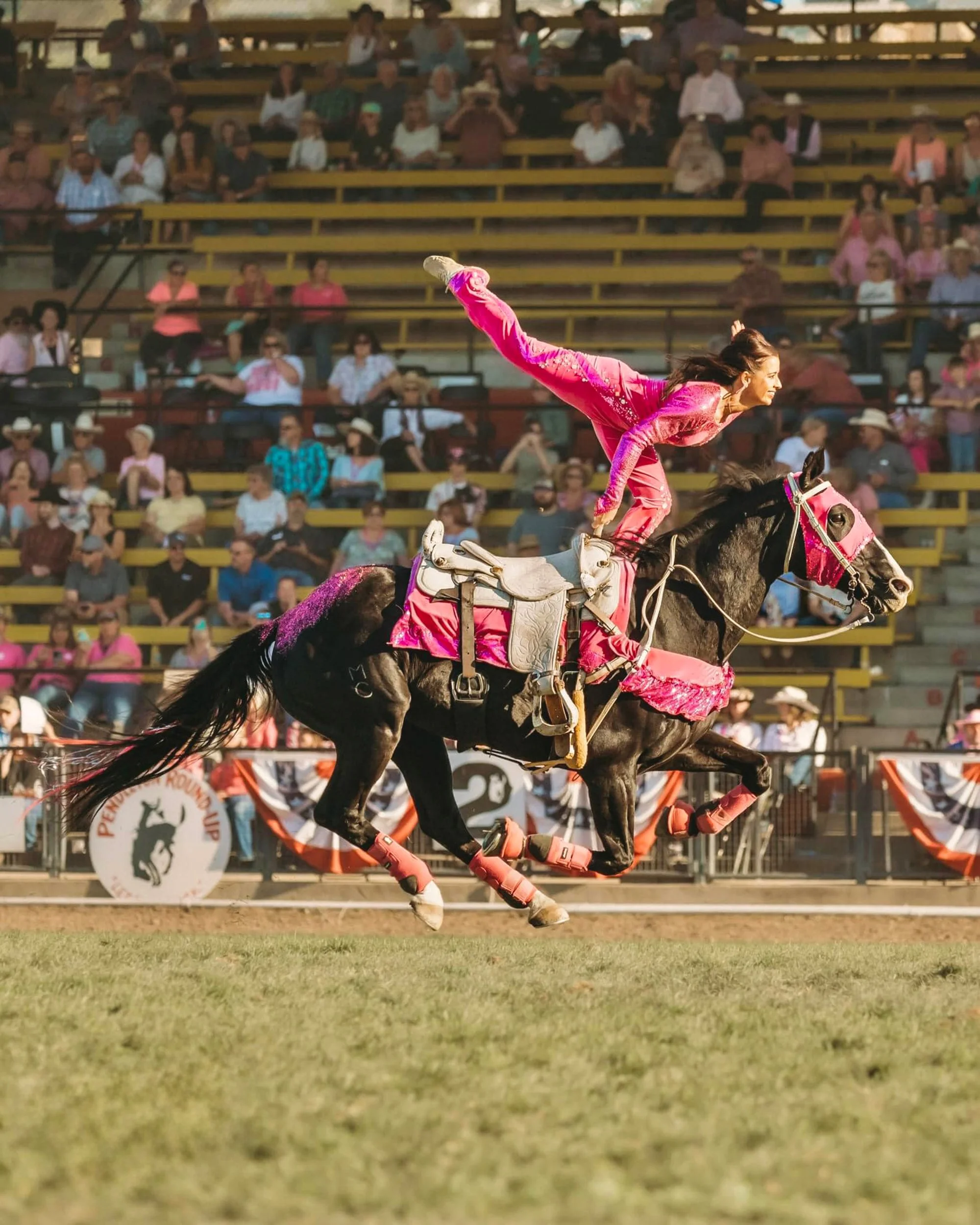 Dazzling Acrobats on Horseback