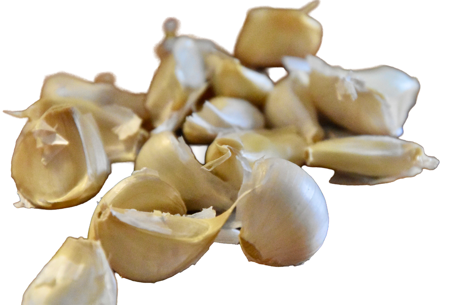 13GARLIC no back 2.png
