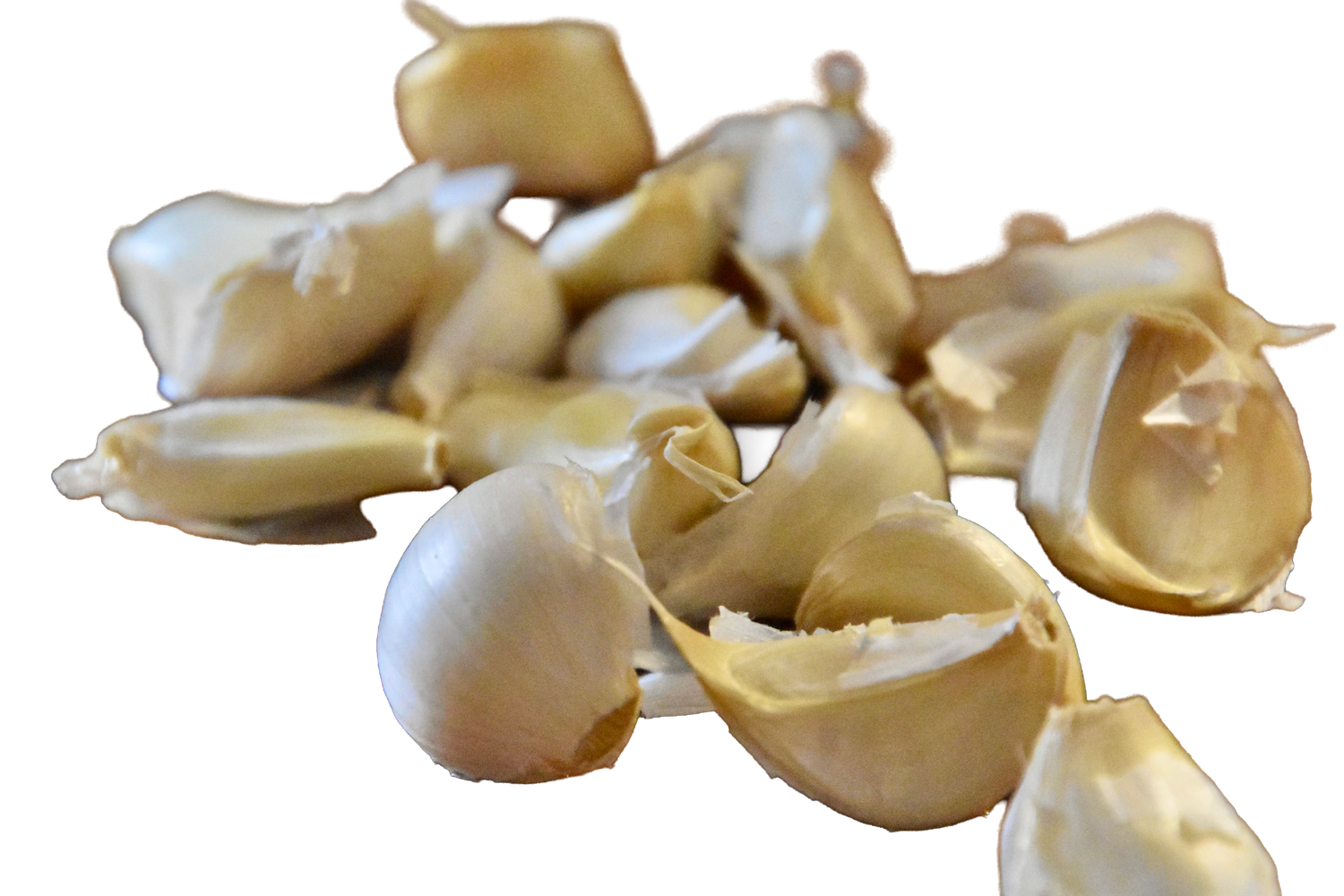 13GARLIC no back 2 2.png