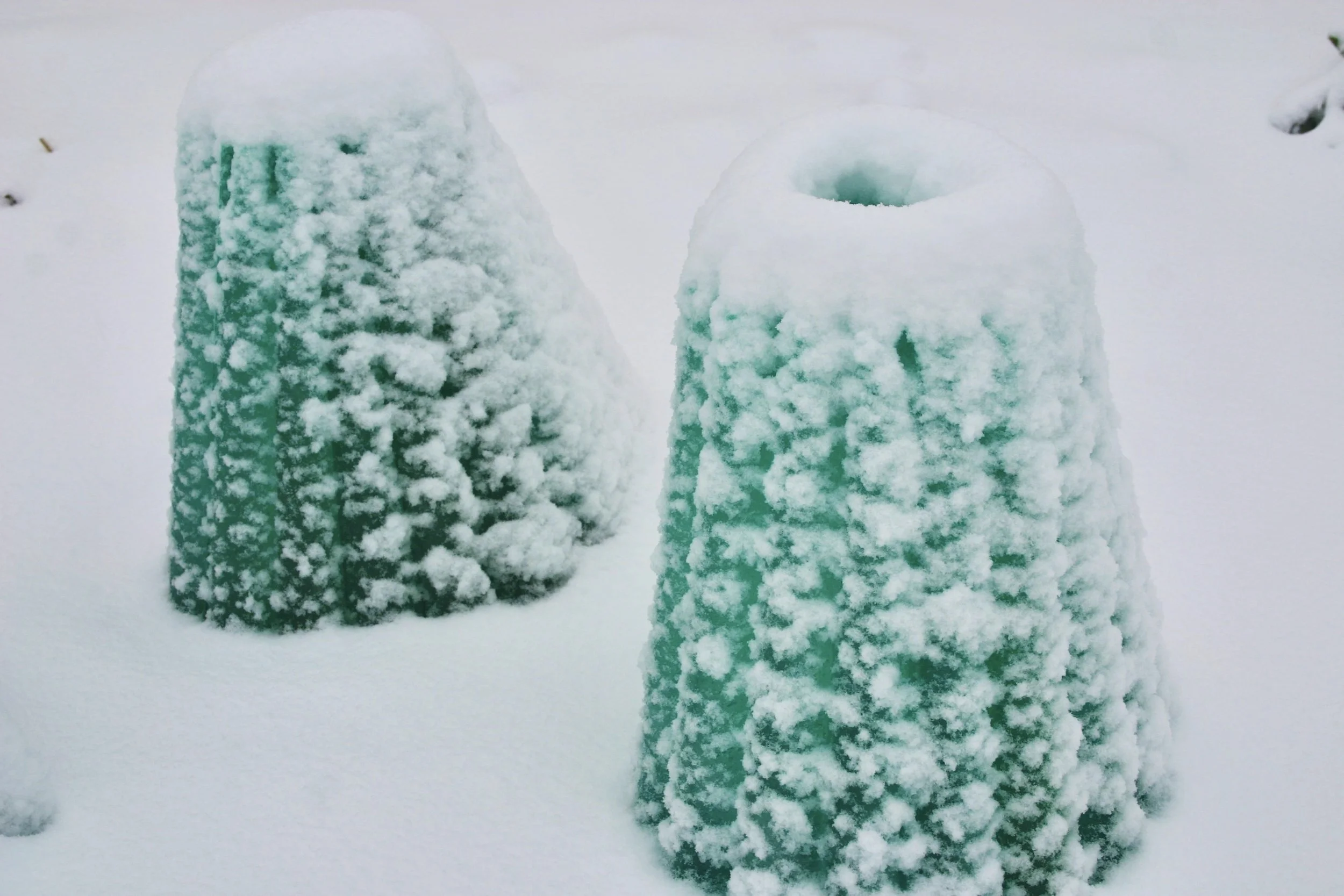 BEST DAYS FOR WINTER PLANTING