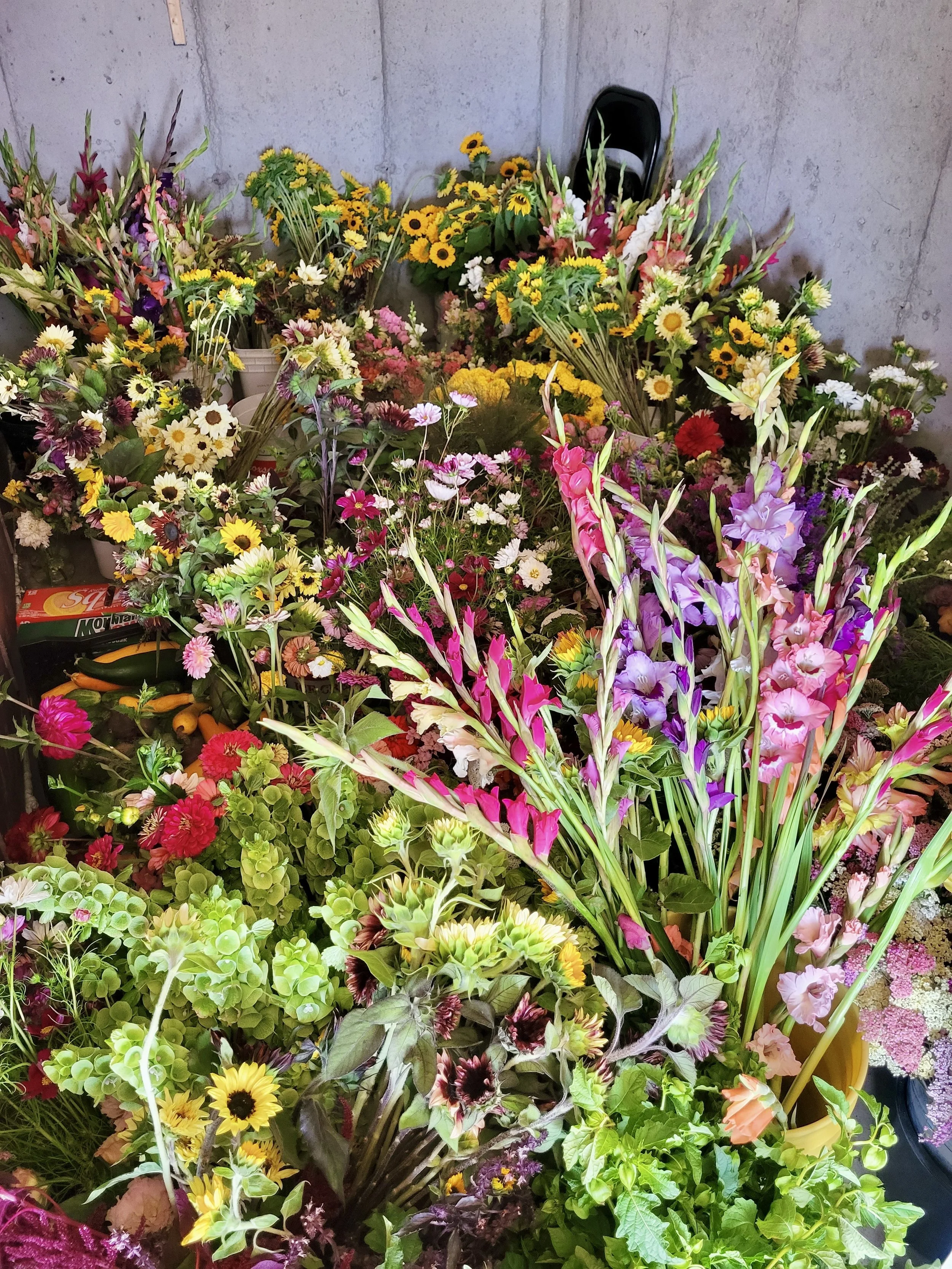 A Burgeoning Blossum Business