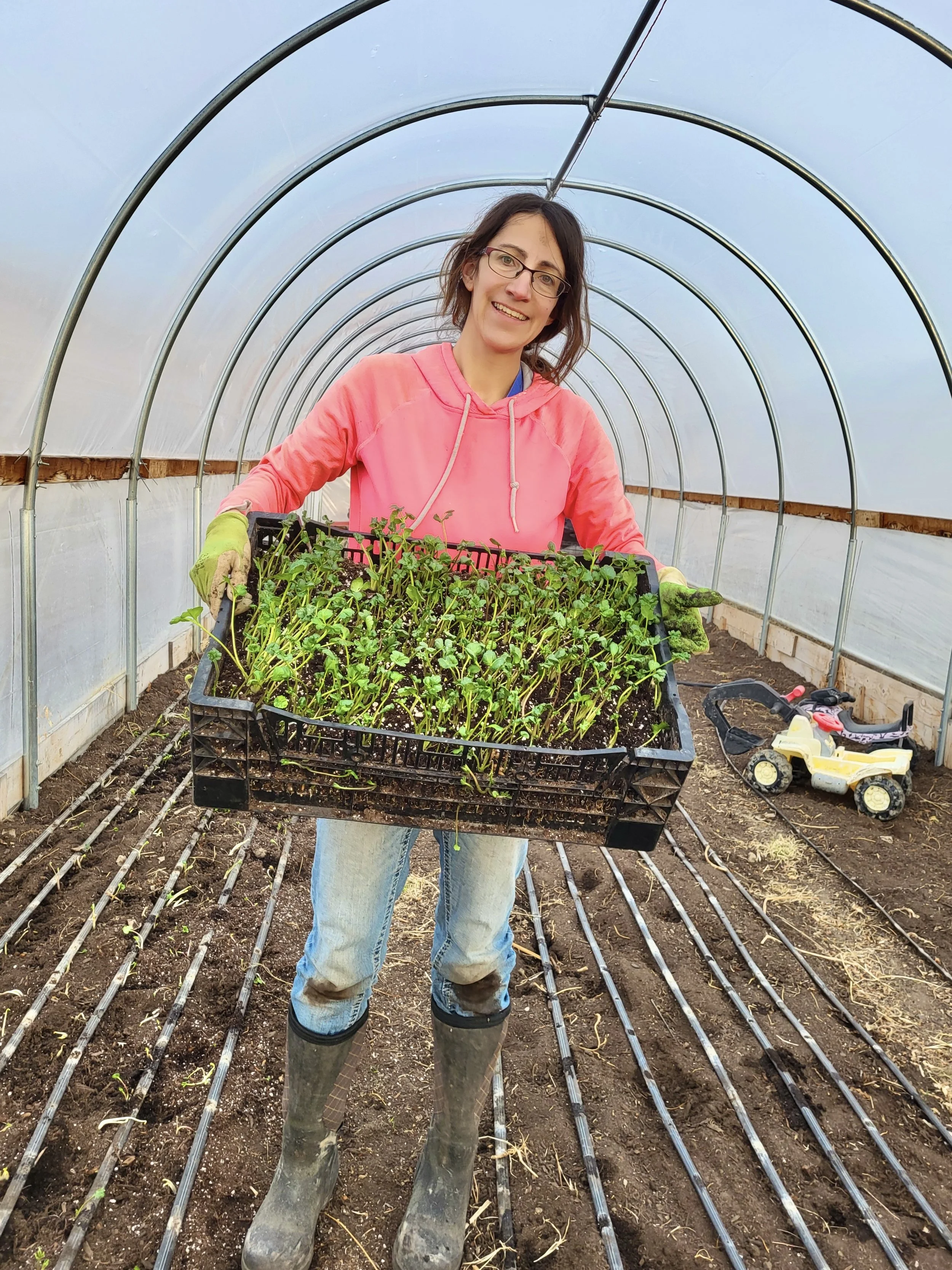 Virginia ready to plant. Third Day Family Farm.jpg