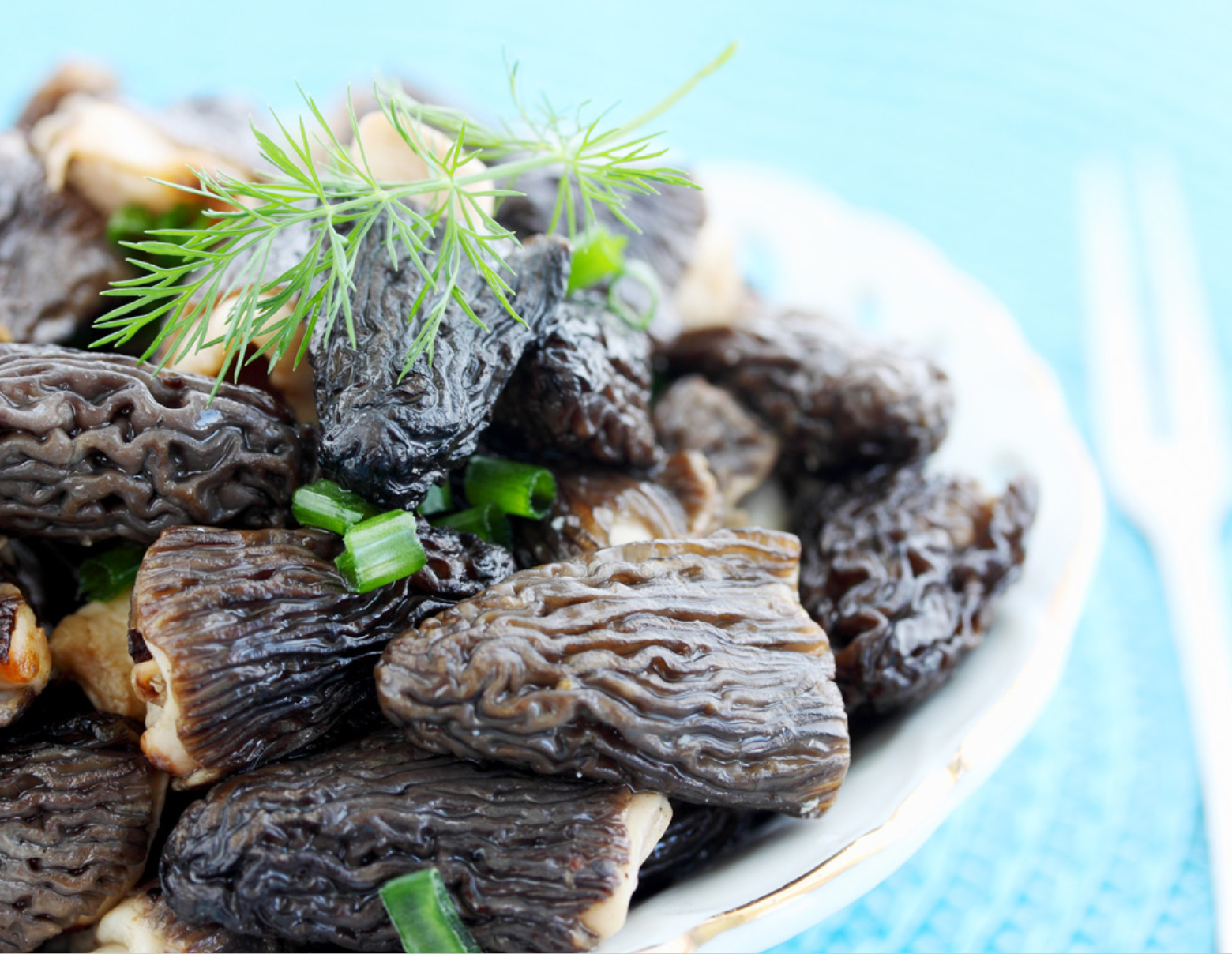 Jean’s Cuisines - Spring Issue 2026